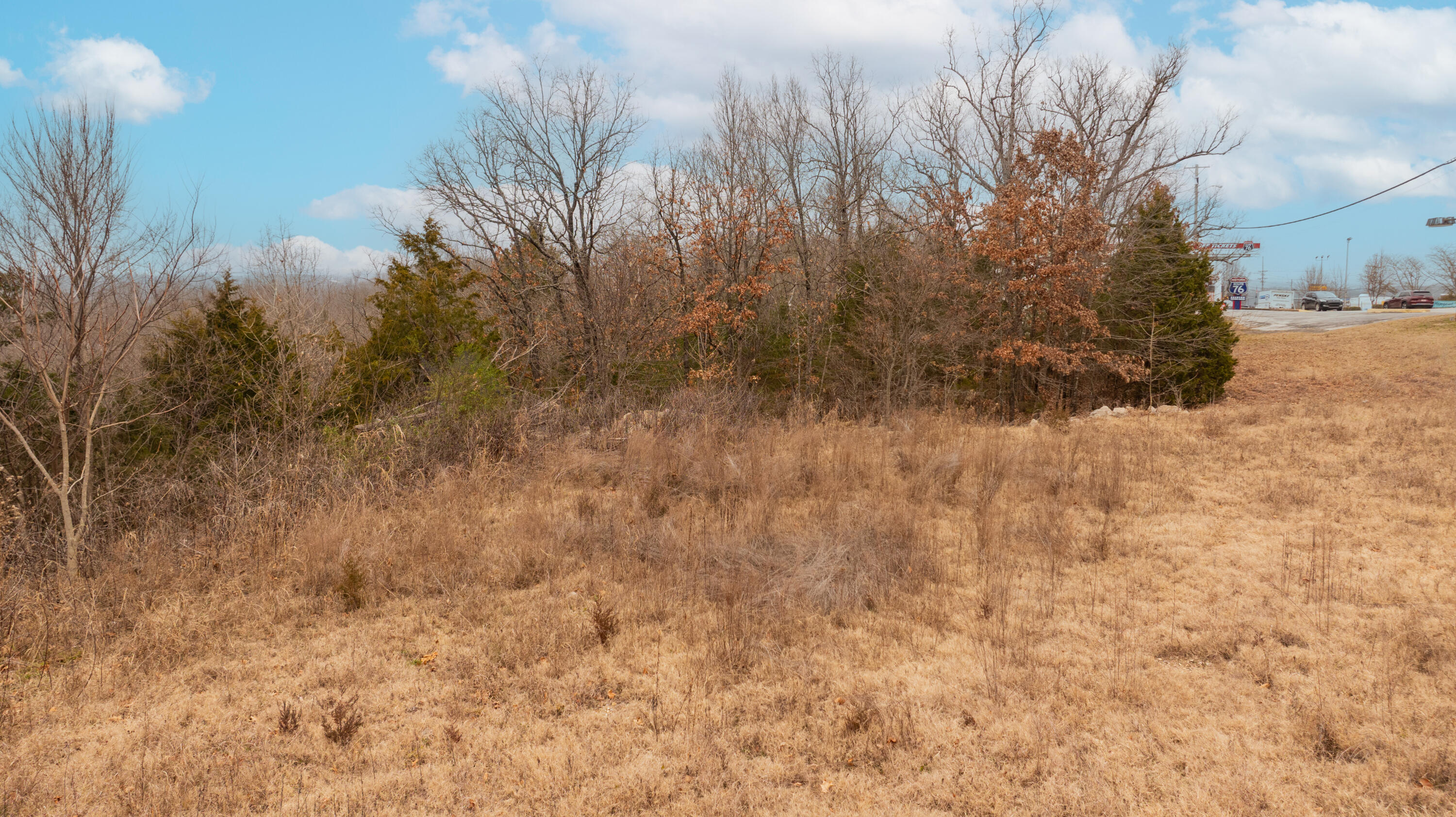 Photo 9 - Land for sale – 1125/1127 W 76 Country Boulevard  Branson, MO