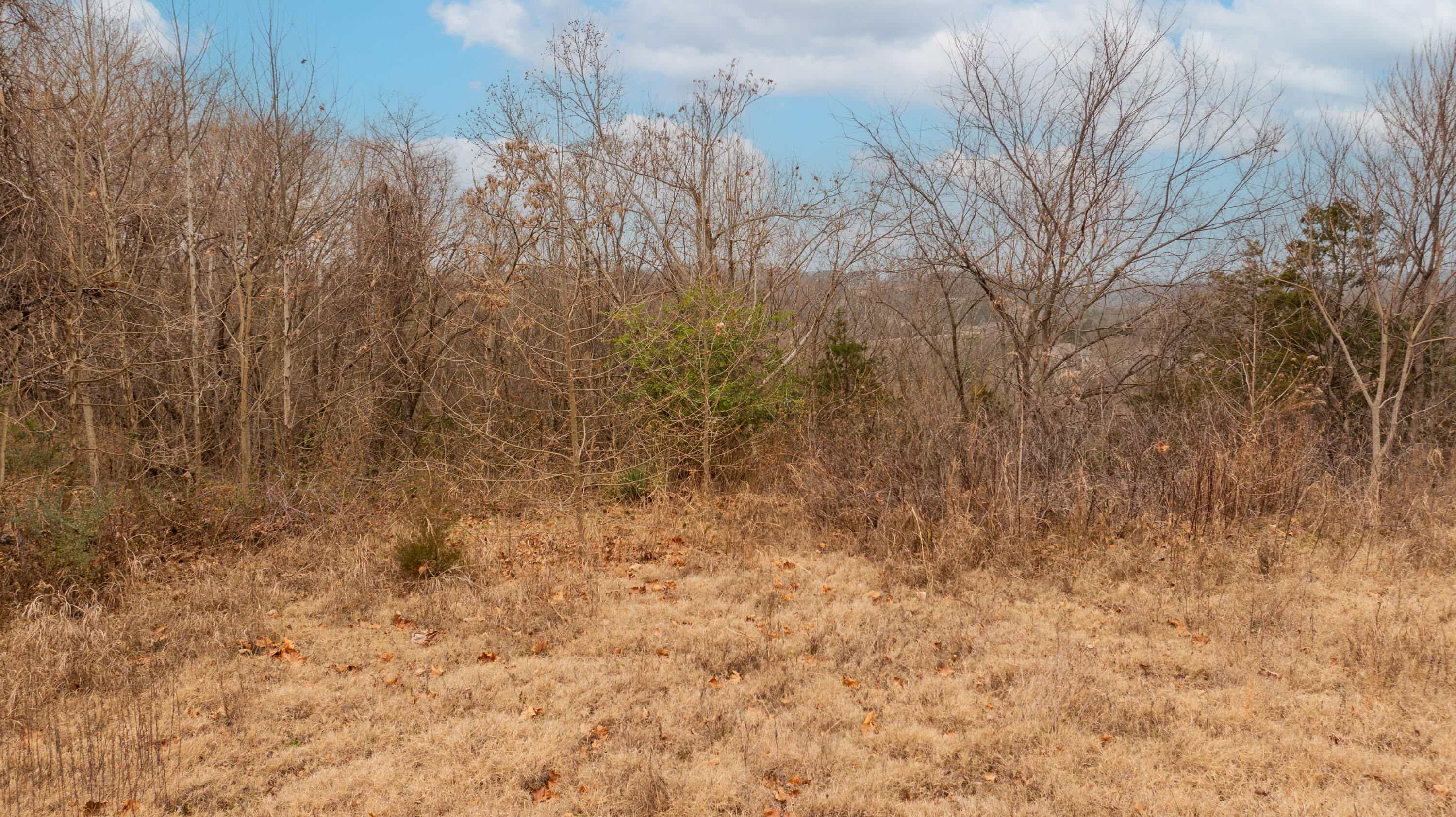 Photo 5 - Land for sale – 1125/1127 W 76 Country Boulevard  Branson, MO