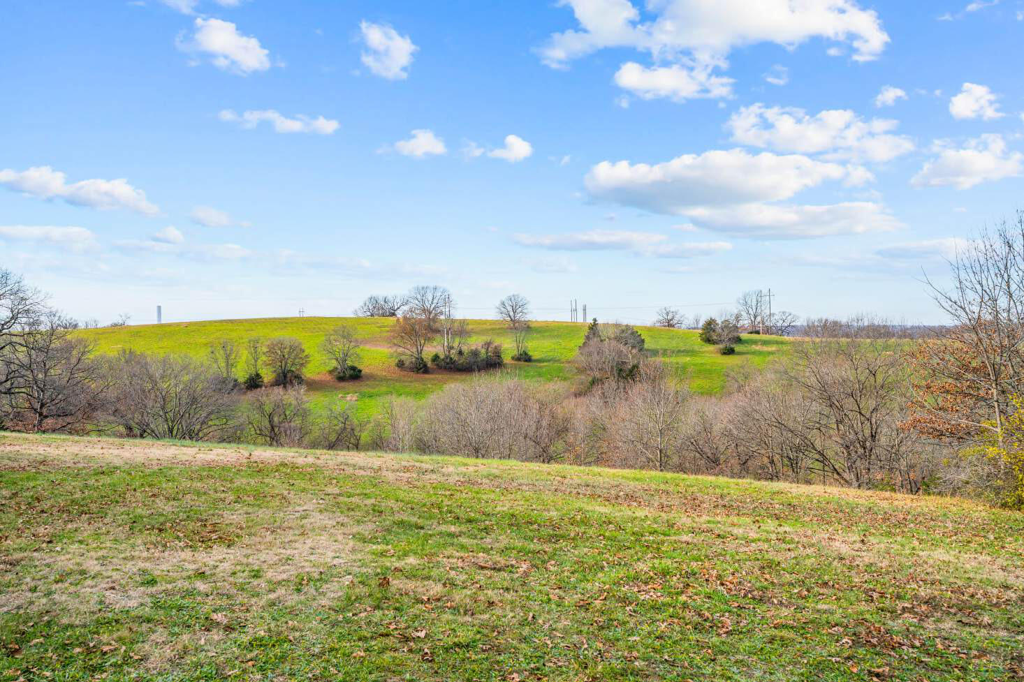 Photo 35 - Land for sale – 1423  State Hwy 265   Hollister, MO