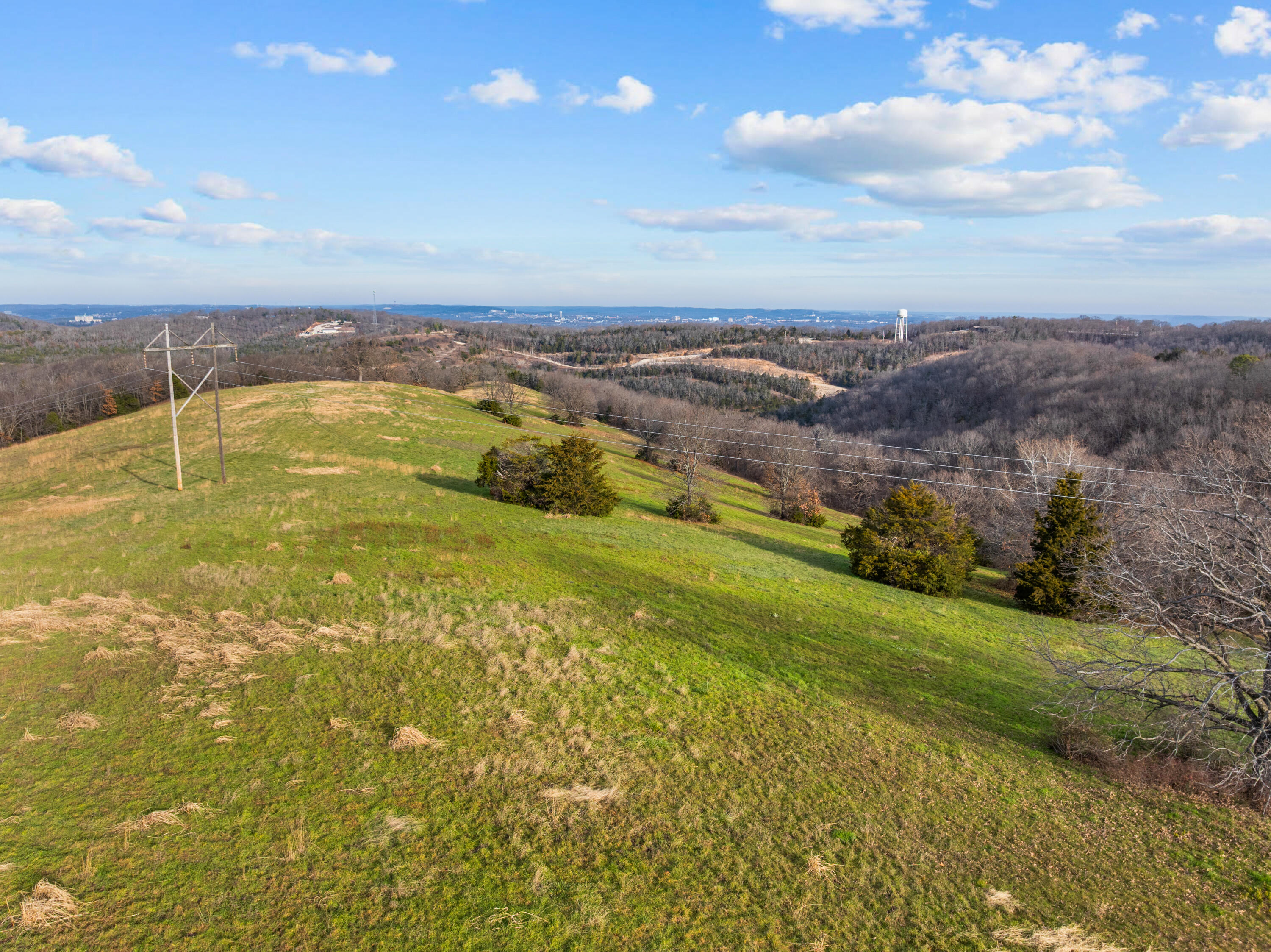 Photo 9 - Land for sale – 1423  State Hwy 265   Hollister, MO