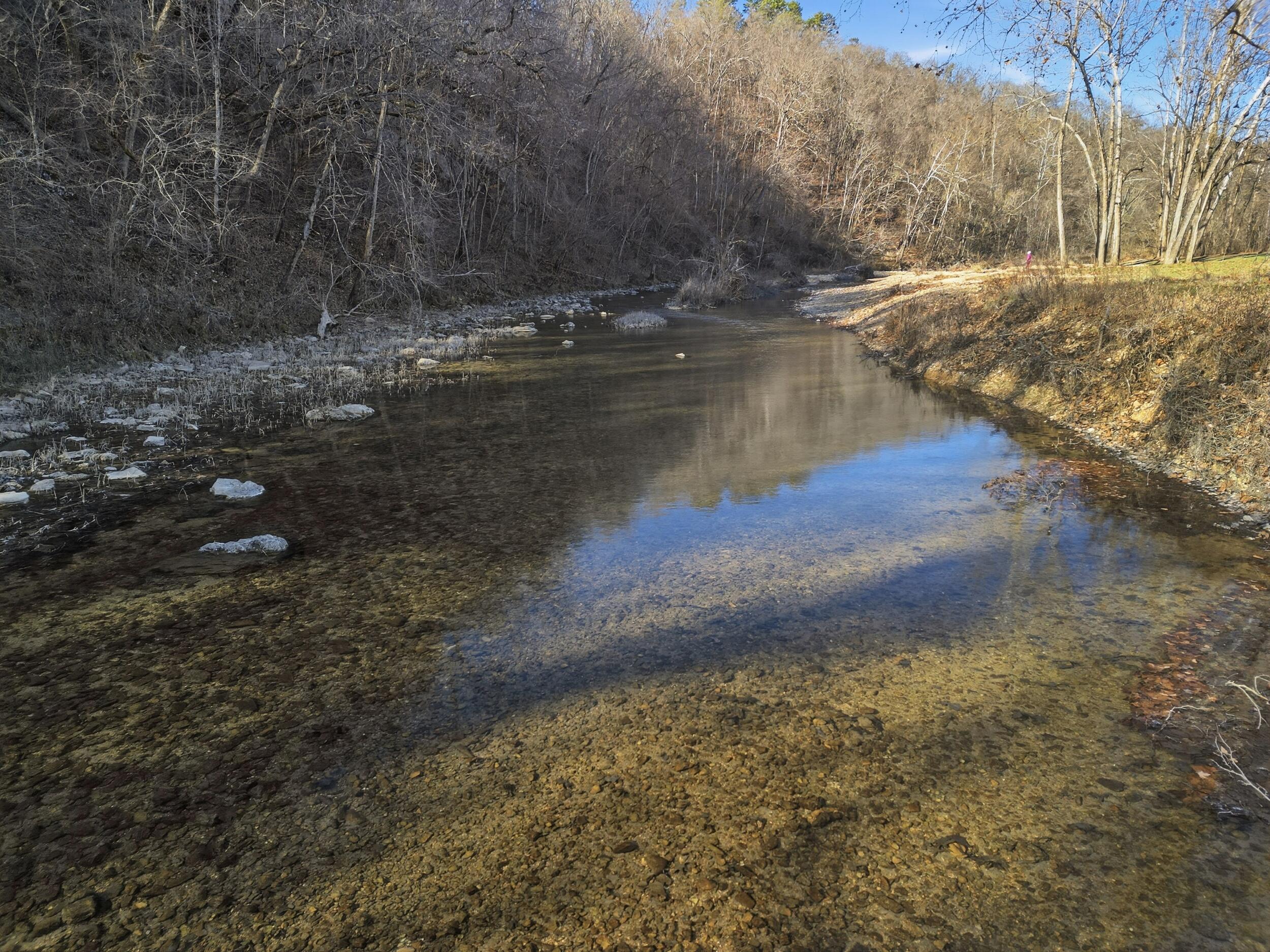 Photo 9 - Land for sale – 000  County Road 292   West Plains, MO