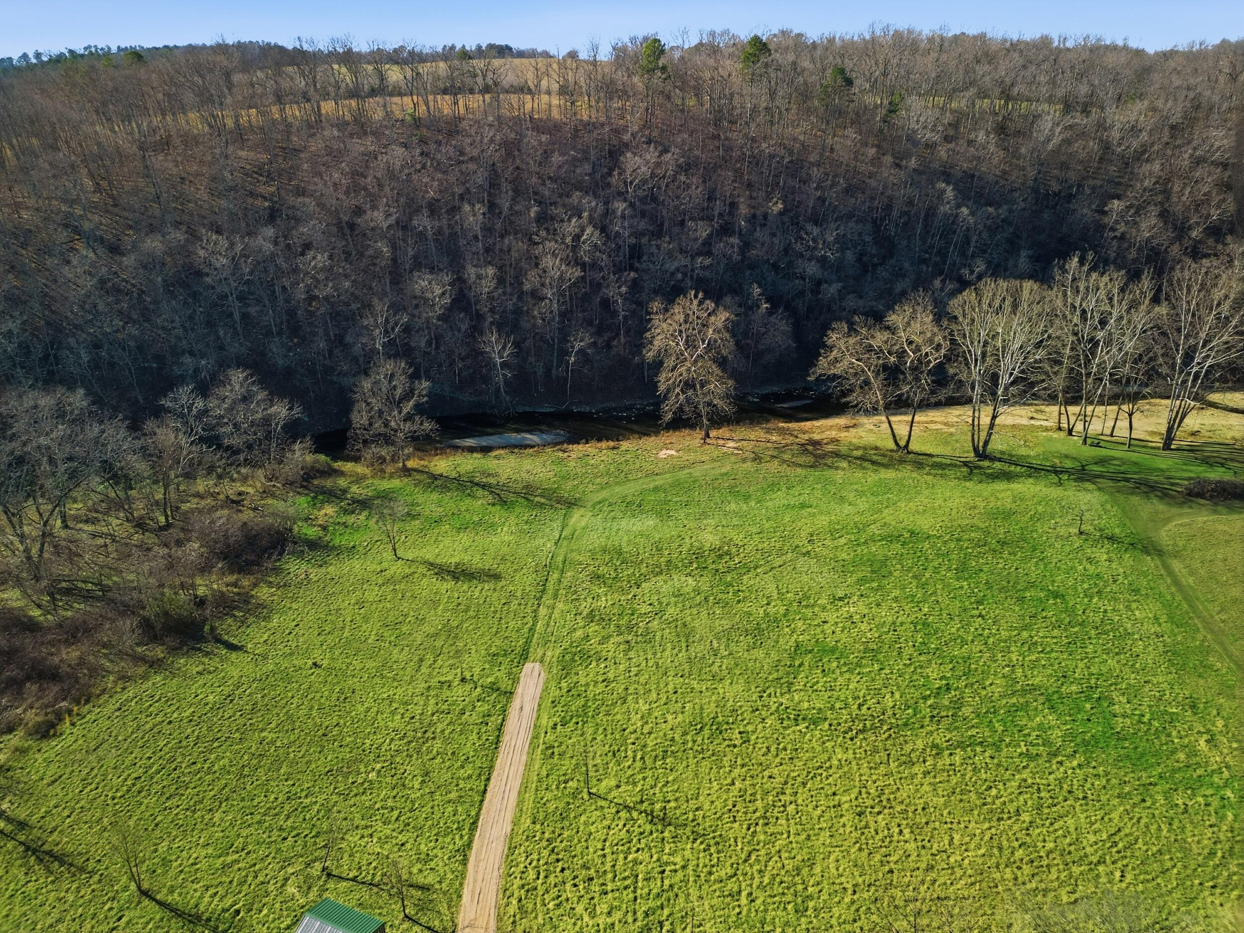 Photo 5 - Land for sale – 000  County Road 292   West Plains, MO