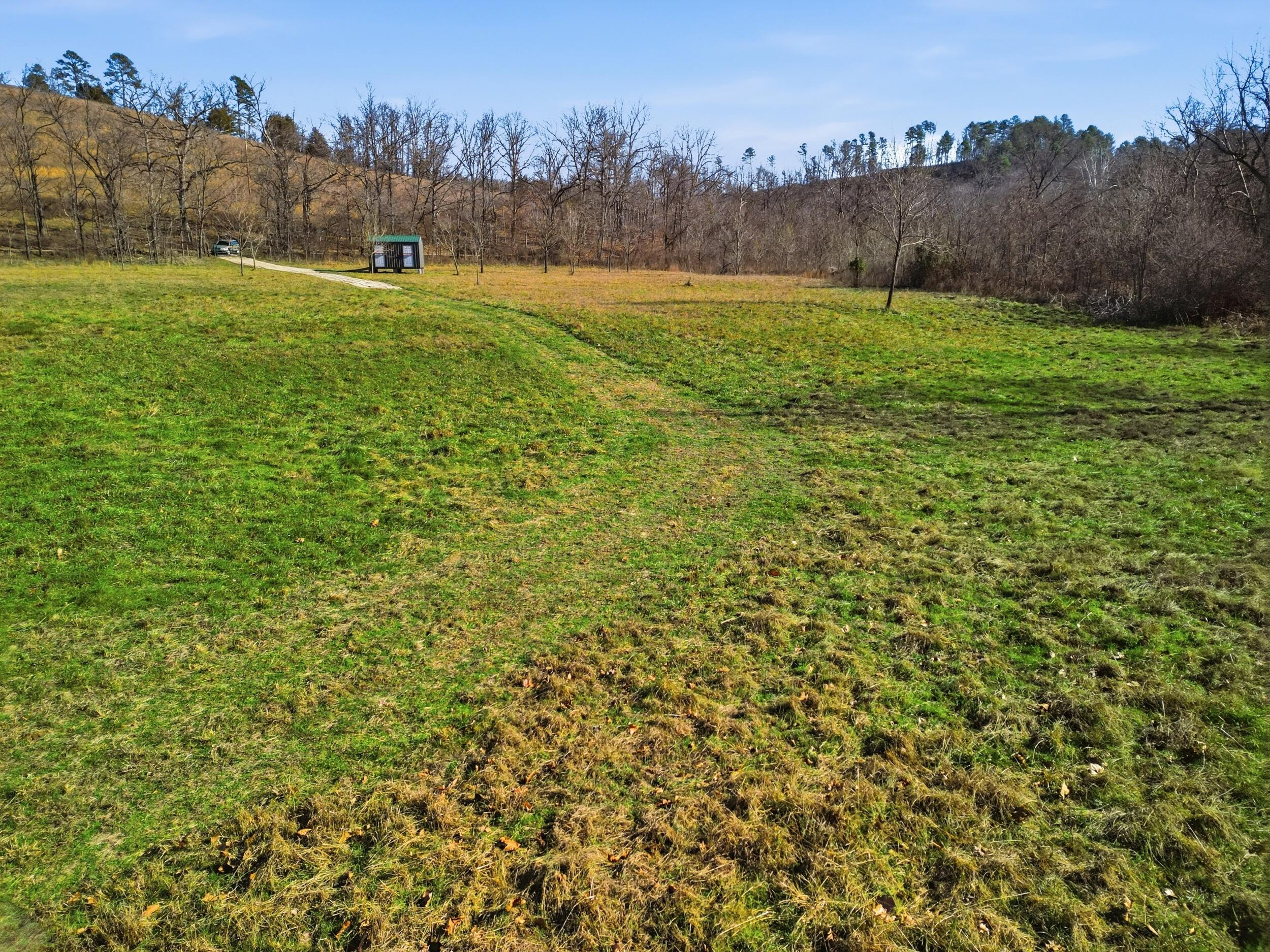 Photo 12 - Land for sale – 000  County Road 292   West Plains, MO
