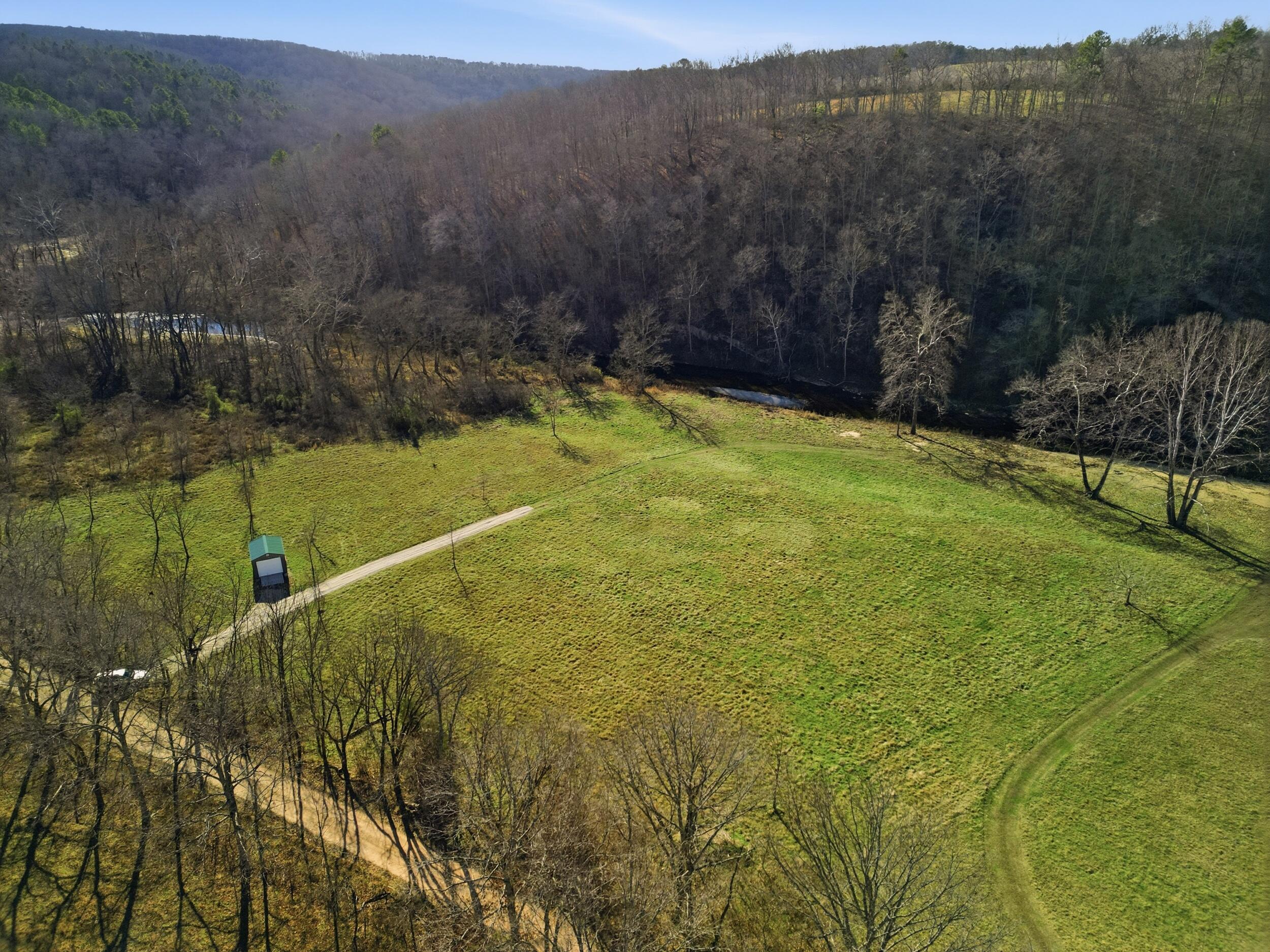Photo 3 - Land for sale – 000  County Road 292   West Plains, MO