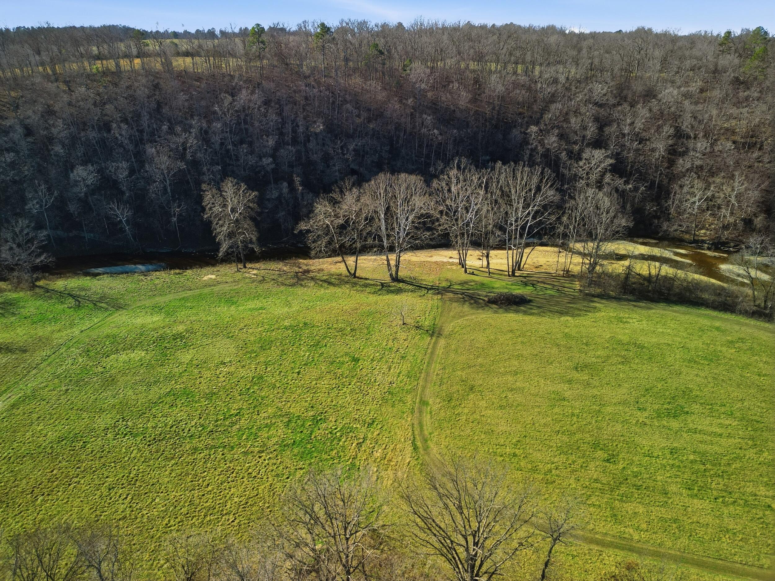 Photo 4 - Land for sale – 000  County Road 292   West Plains, MO
