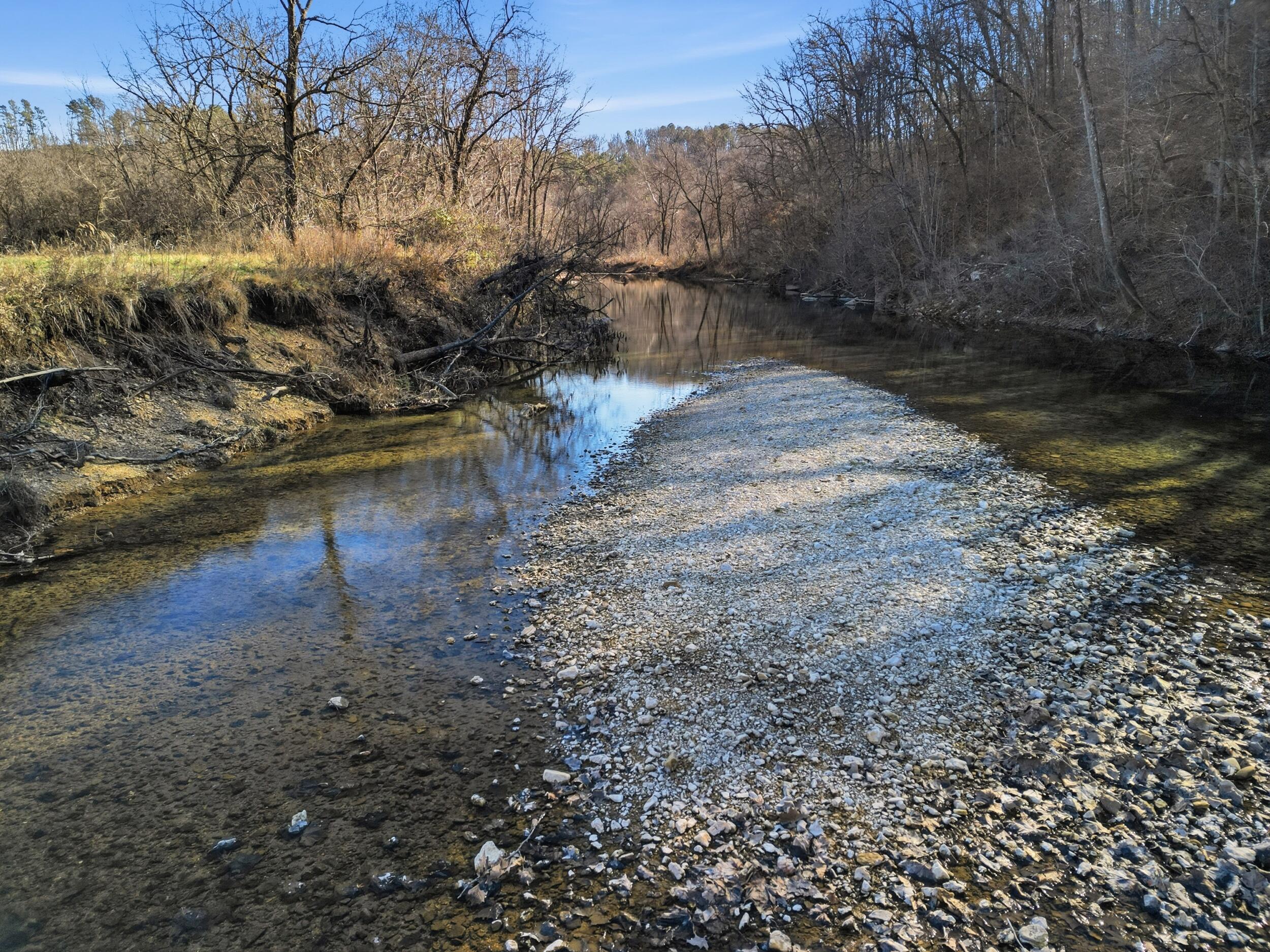 Photo 8 - Land for sale – 000  County Road 292   West Plains, MO