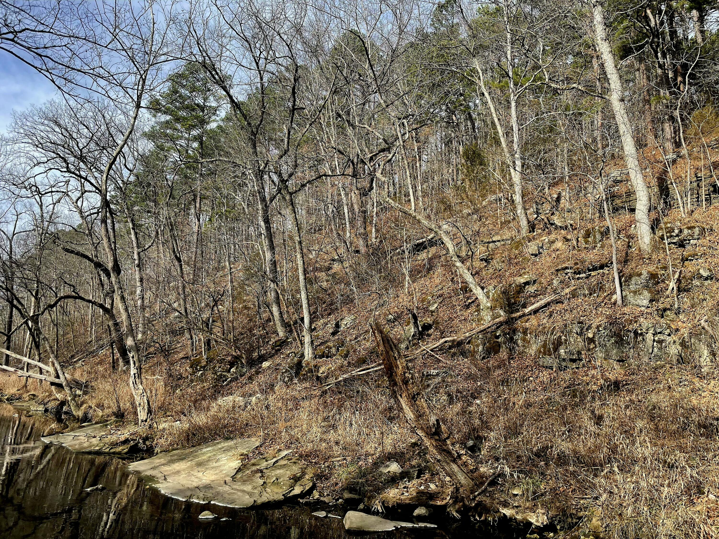 Photo 13 - Land for sale – 000  Airport Road   Houston, MO