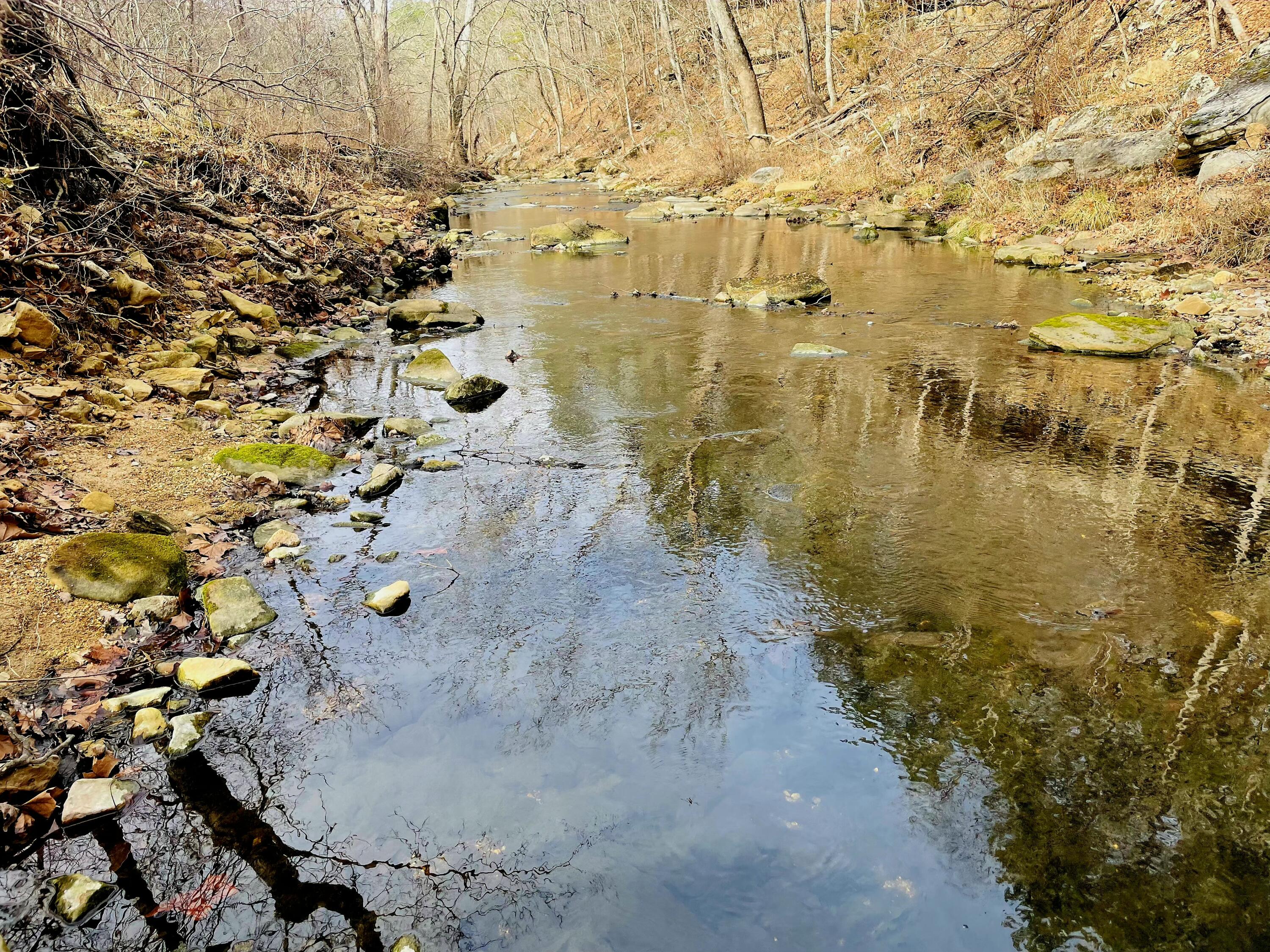 Photo 5 - Land for sale – 000  Airport Road   Houston, MO