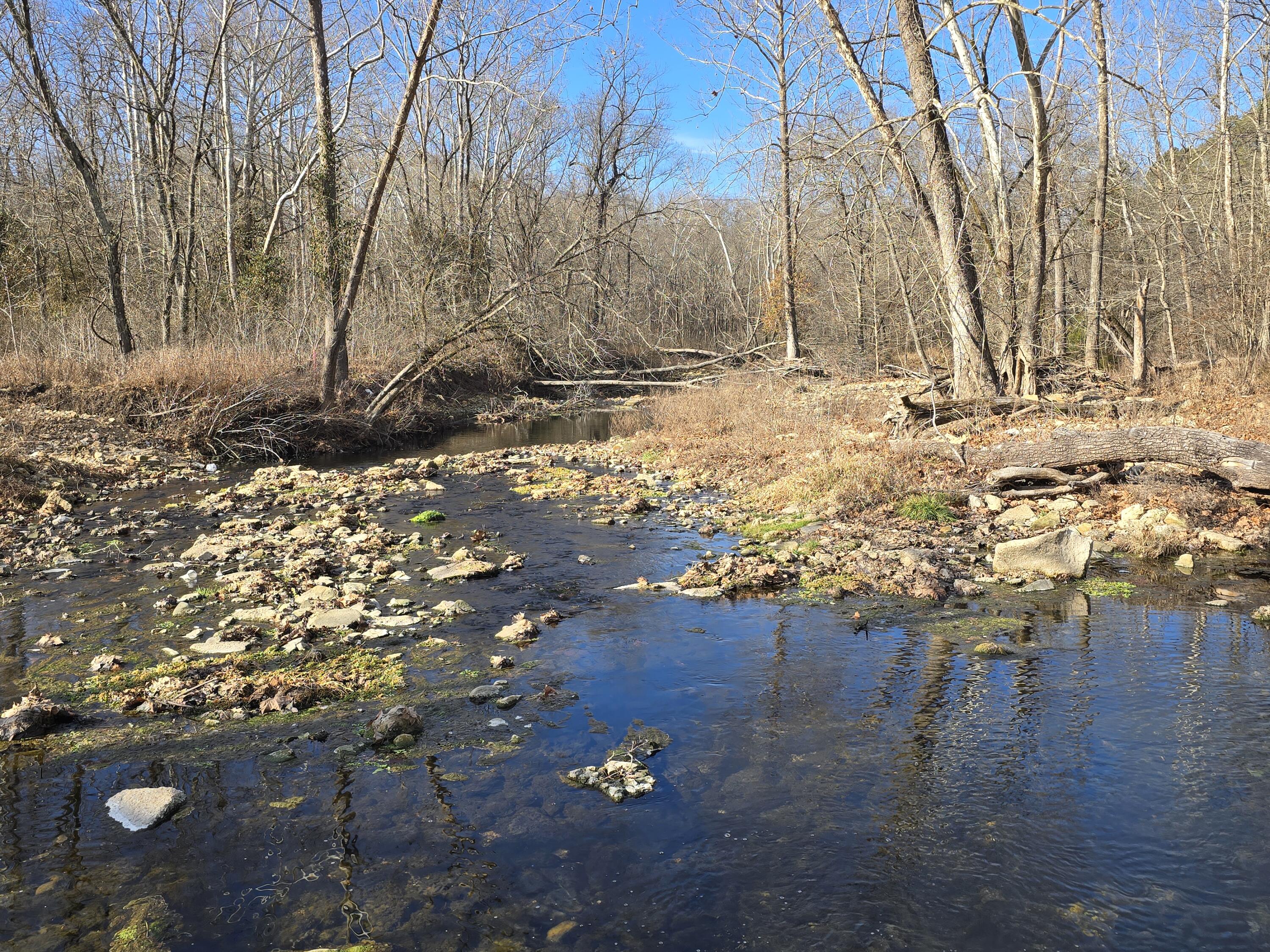 Photo 24 - Land for sale – 000  Airport Road   Houston, MO