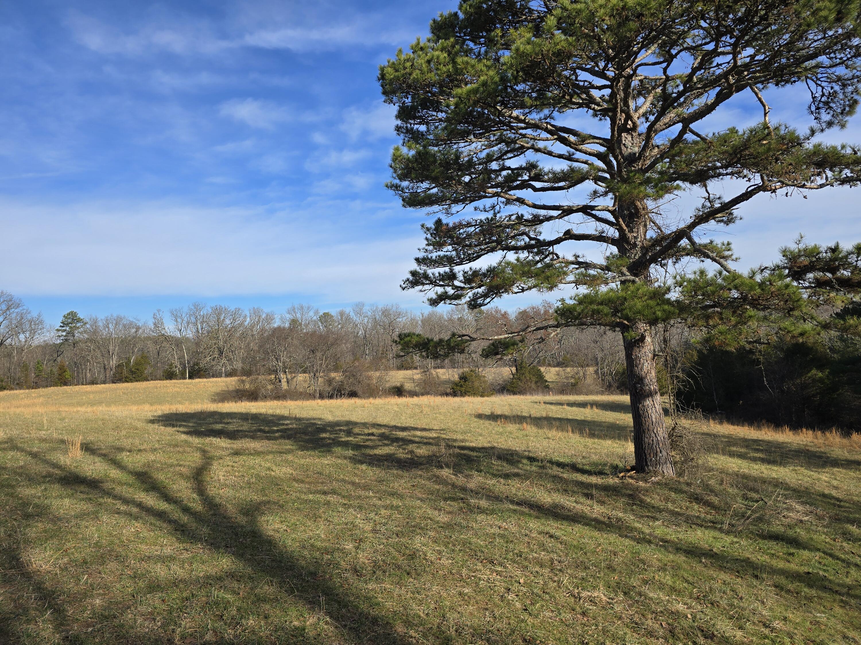 Photo 2 - Land for sale – 000  Airport Road   Houston, MO