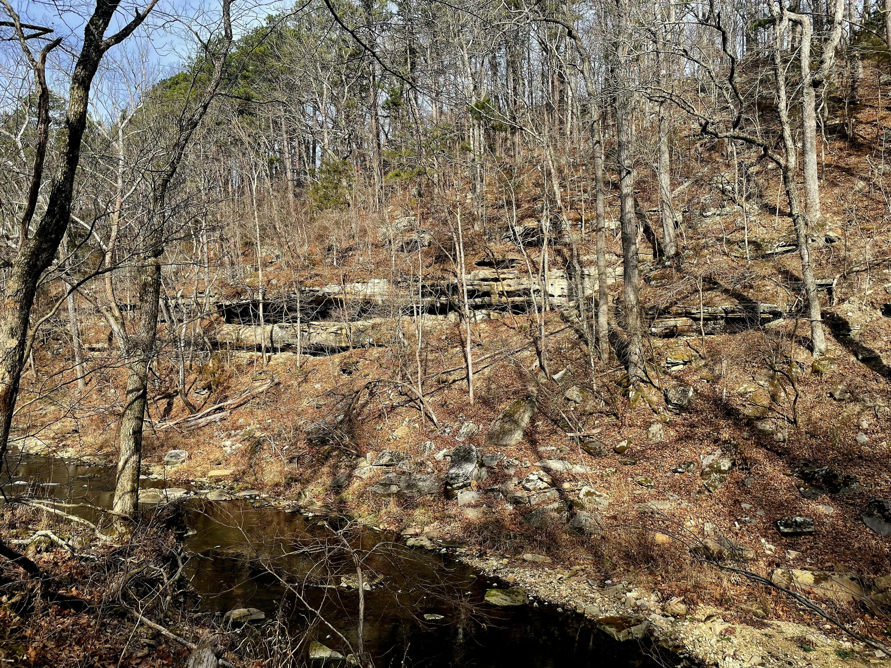 Photo 8 - Land for sale – 000  Airport Road   Houston, MO