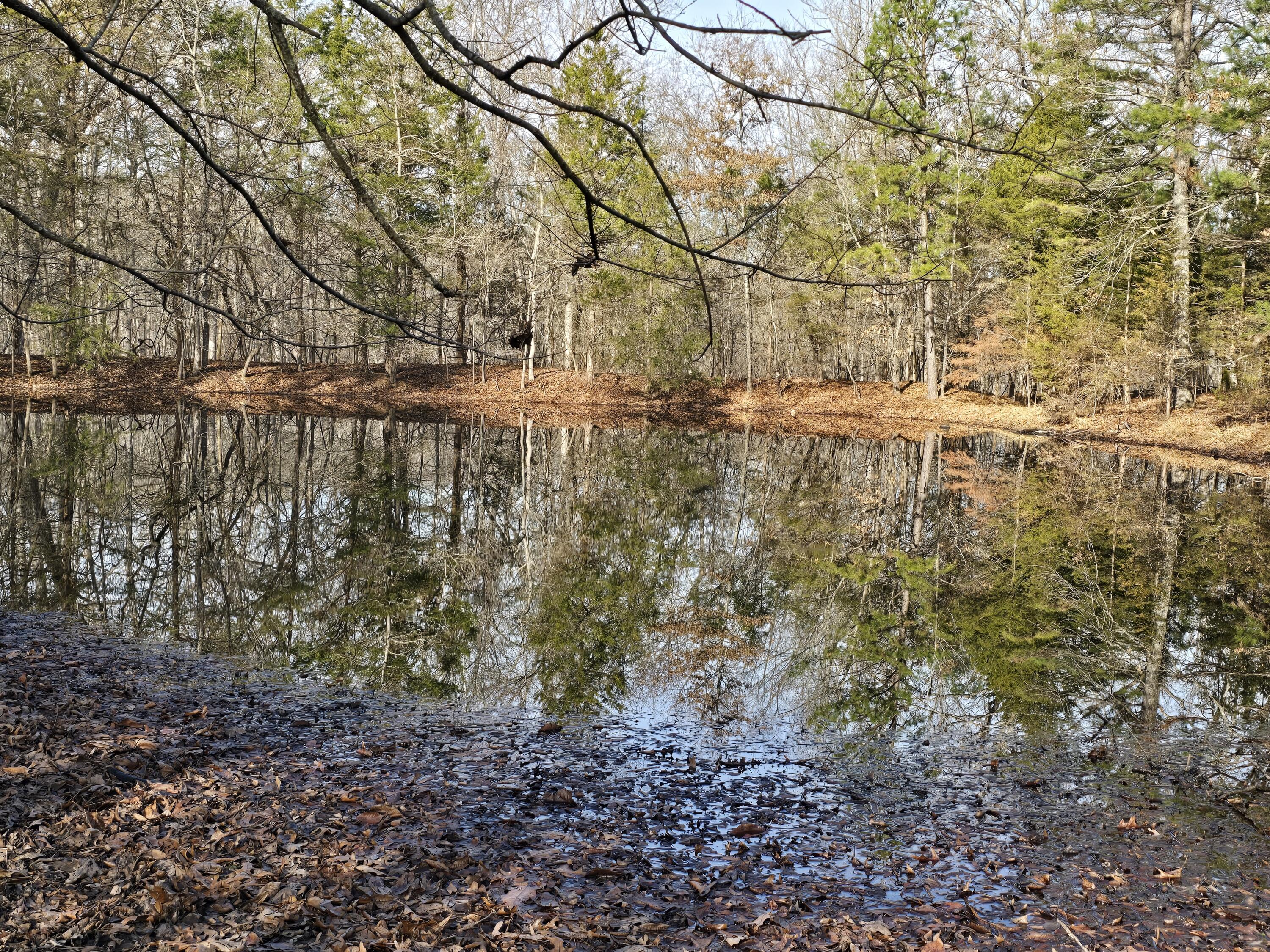 Photo 3 - Land for sale – 000  Airport Road   Houston, MO