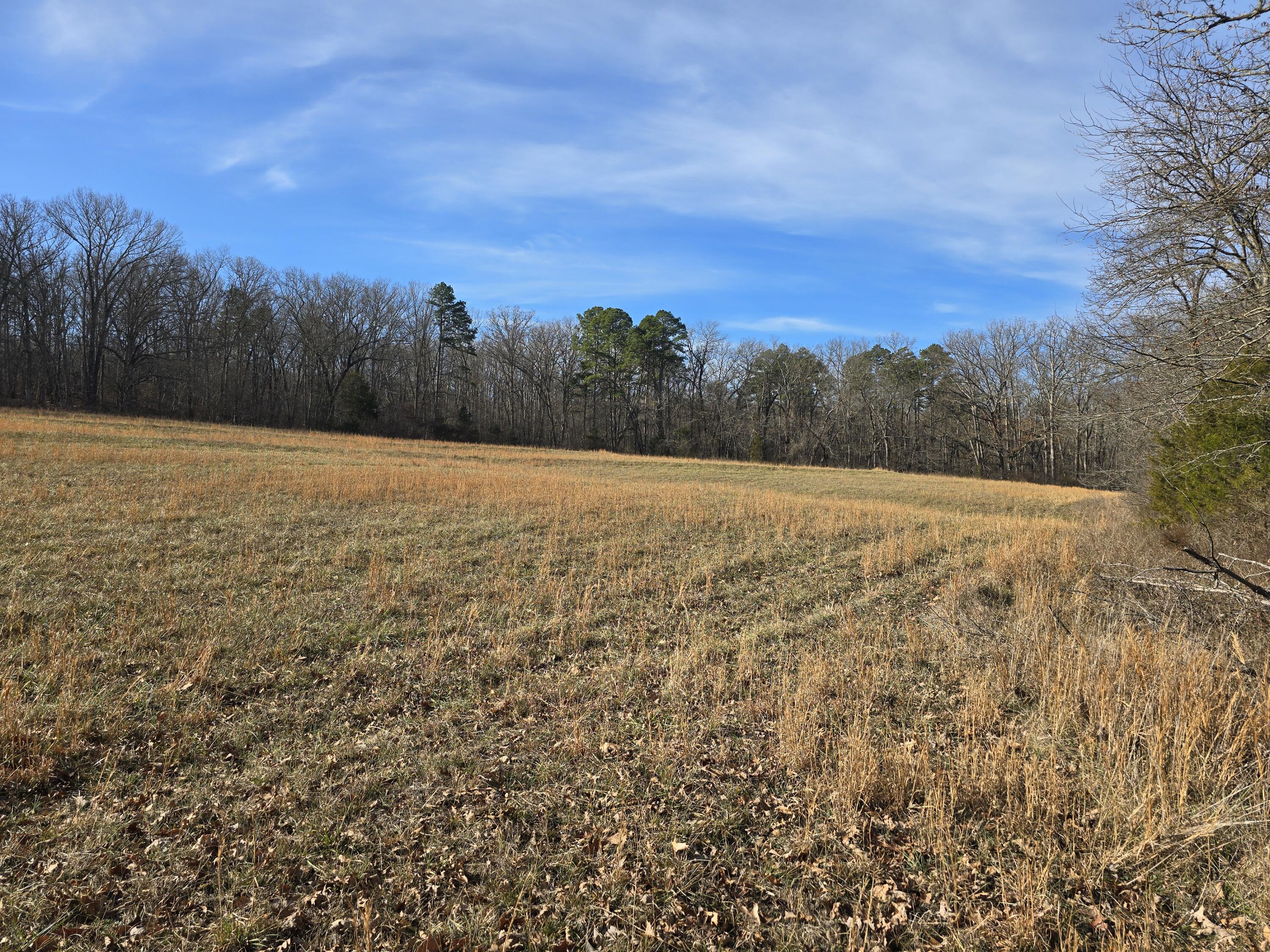 Photo 21 - Land for sale – 000  Airport Road   Houston, MO