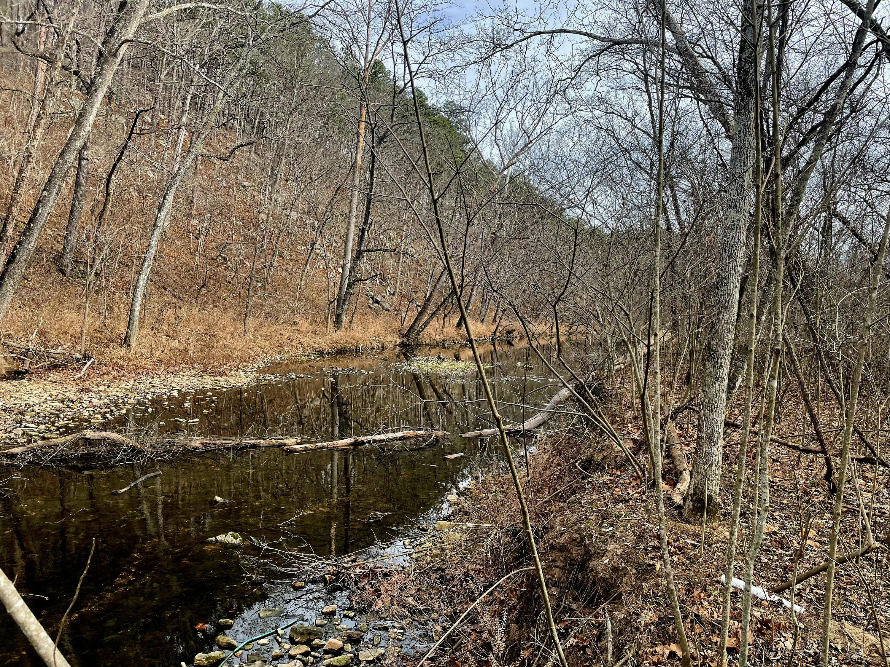 Photo 29 - Land for sale – 000  Airport Road   Houston, MO