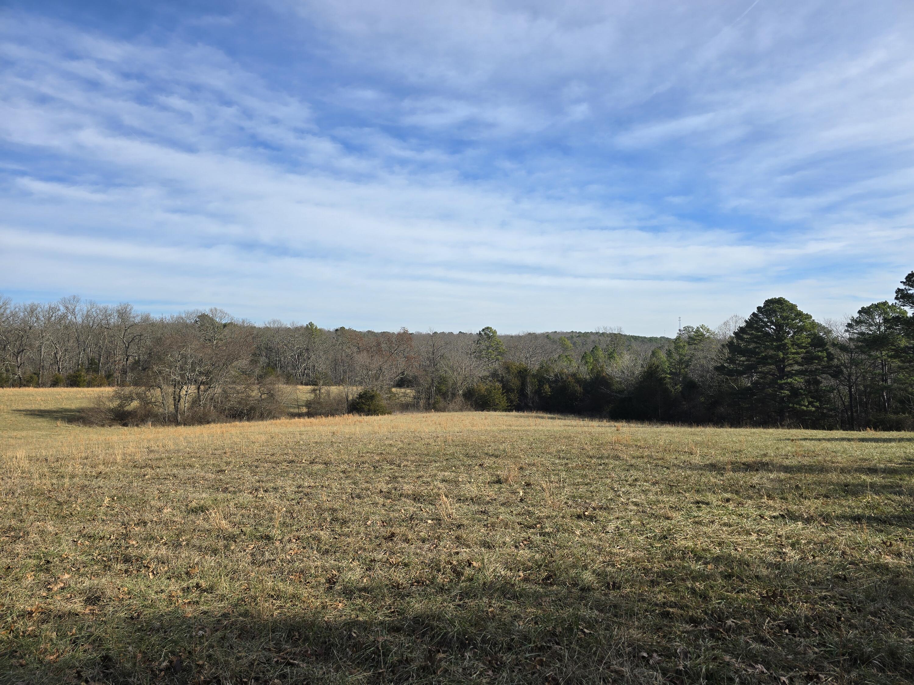 Photo 6 - Land for sale – 000  Airport Road   Houston, MO