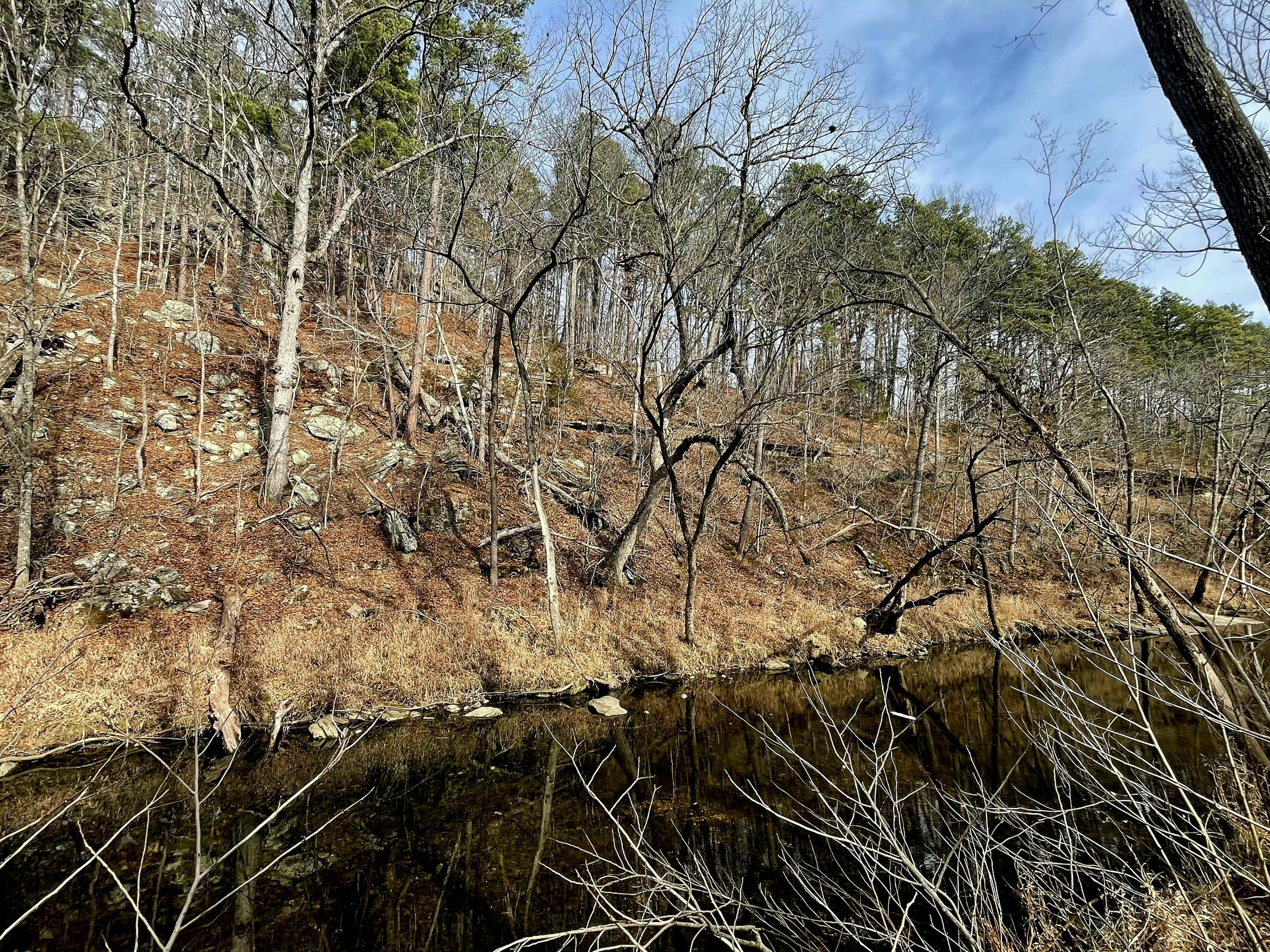 Photo 19 - Land for sale – 000  Airport Road   Houston, MO