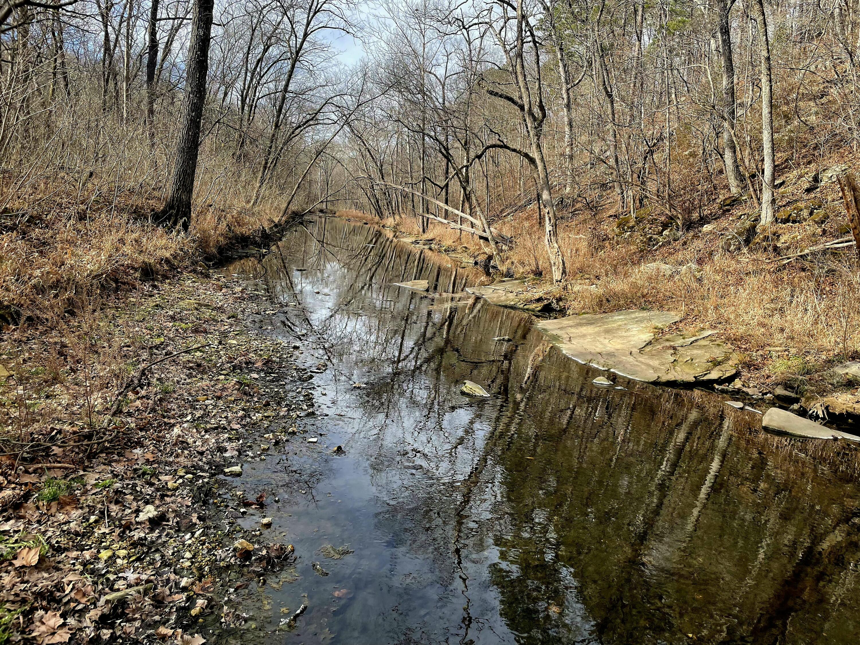 Photo 27 - Land for sale – 000  Airport Road   Houston, MO
