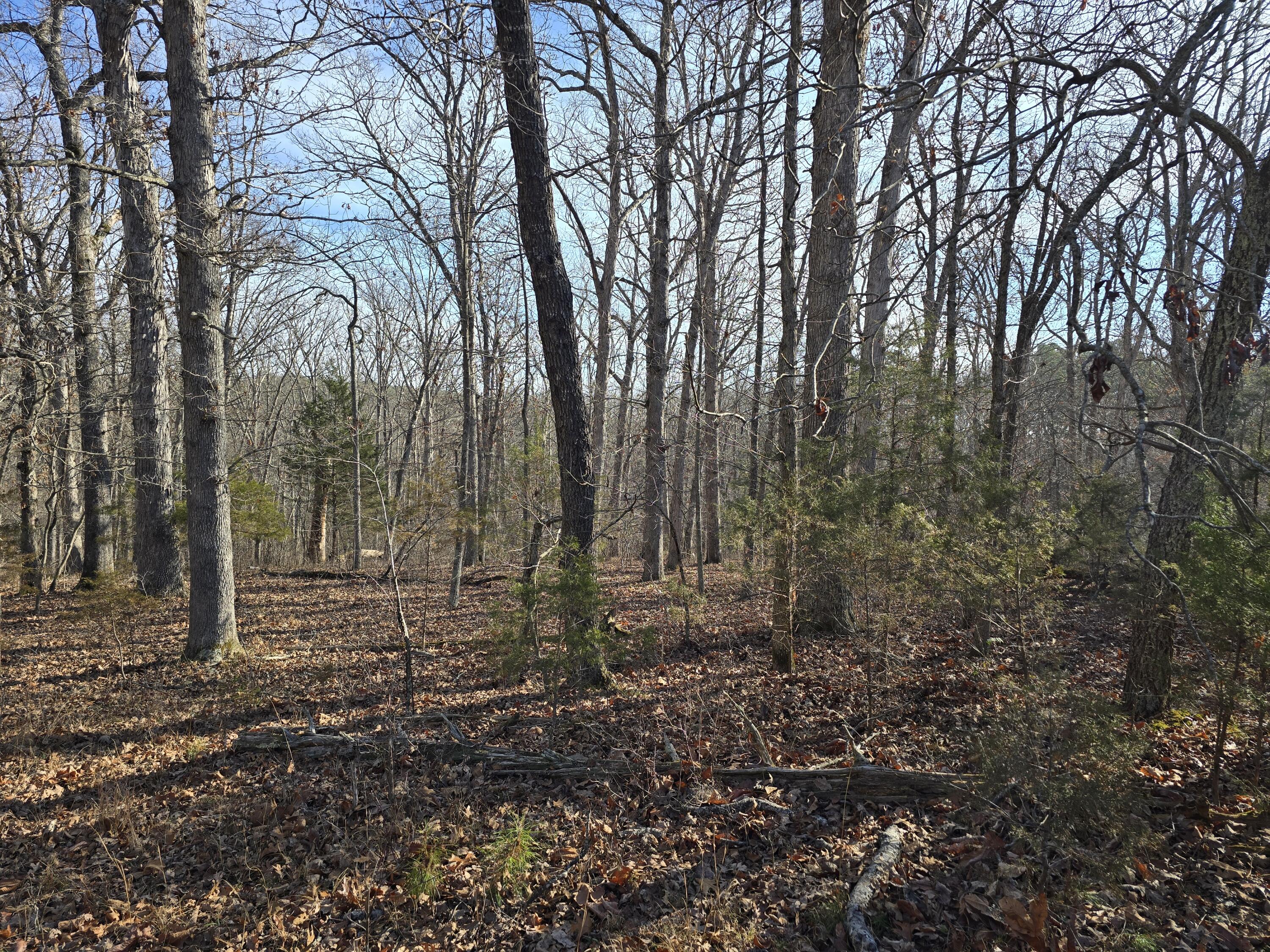 Photo 7 - Land for sale – 000  Airport Road   Houston, MO