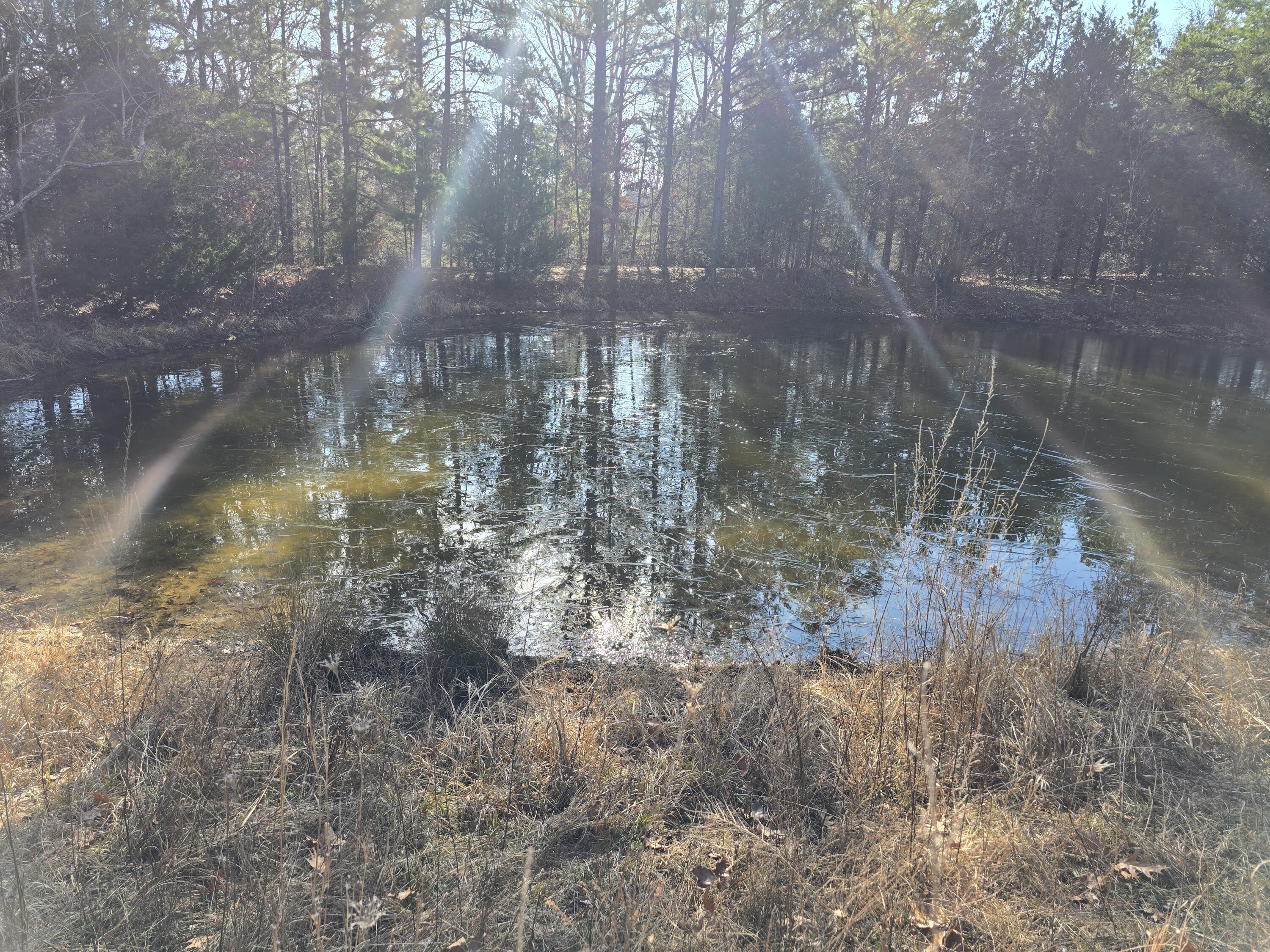 Photo 18 - Land for sale – 000  Airport Road   Houston, MO