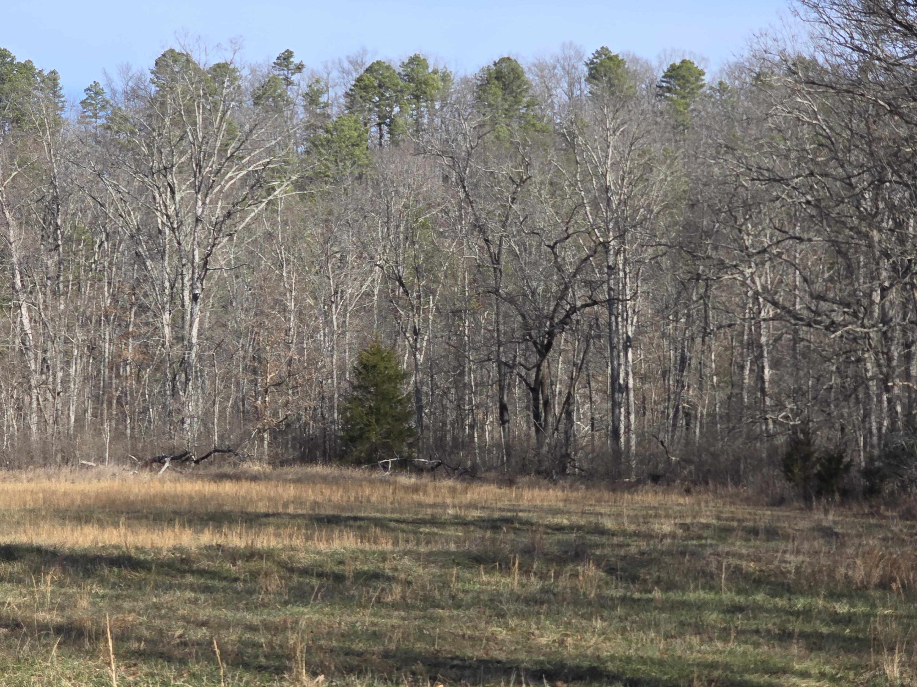 Photo 10 - Land for sale – 000  Airport Road   Houston, MO