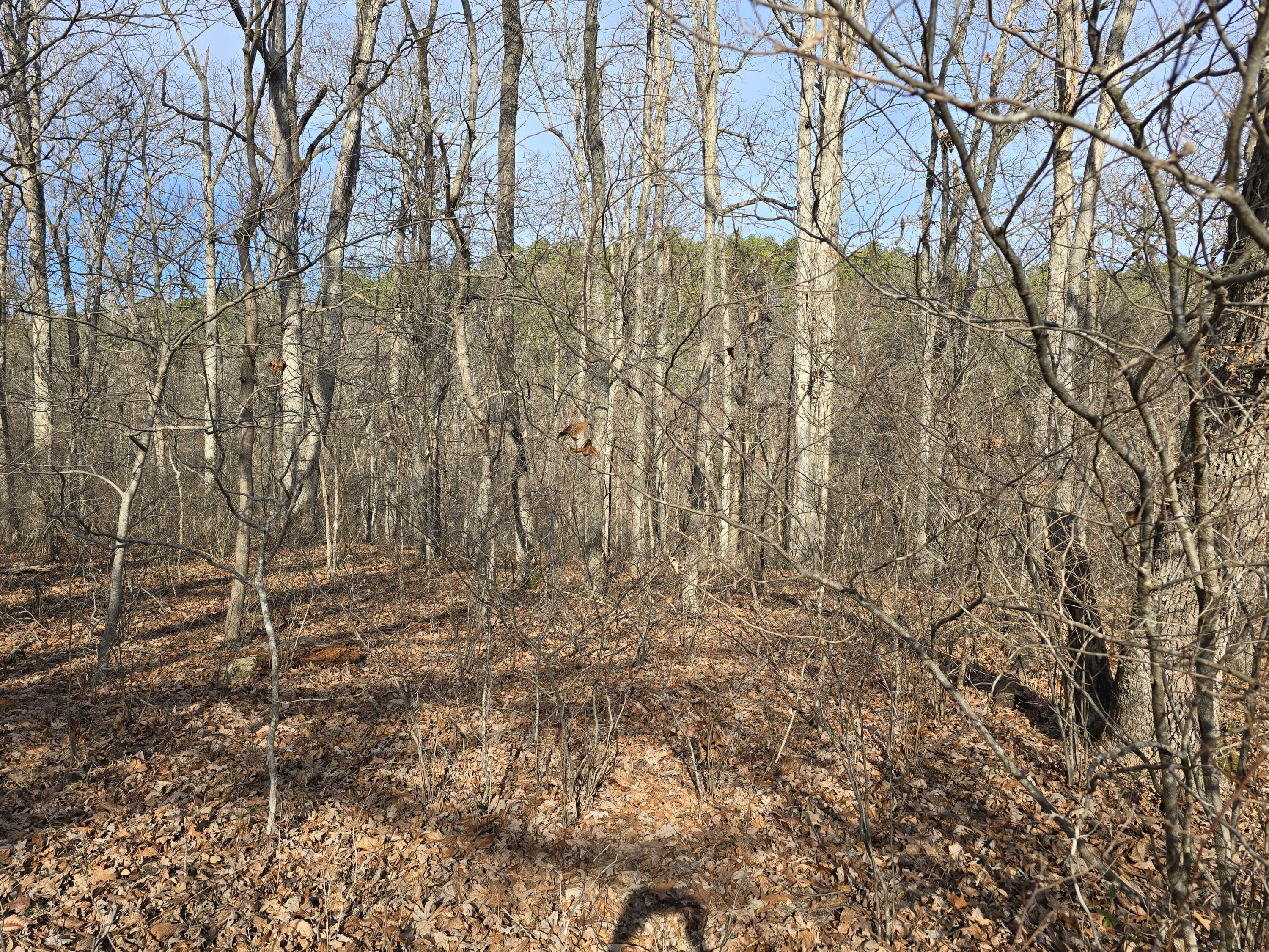 Photo 17 - Land for sale – 000  Airport Road   Houston, MO