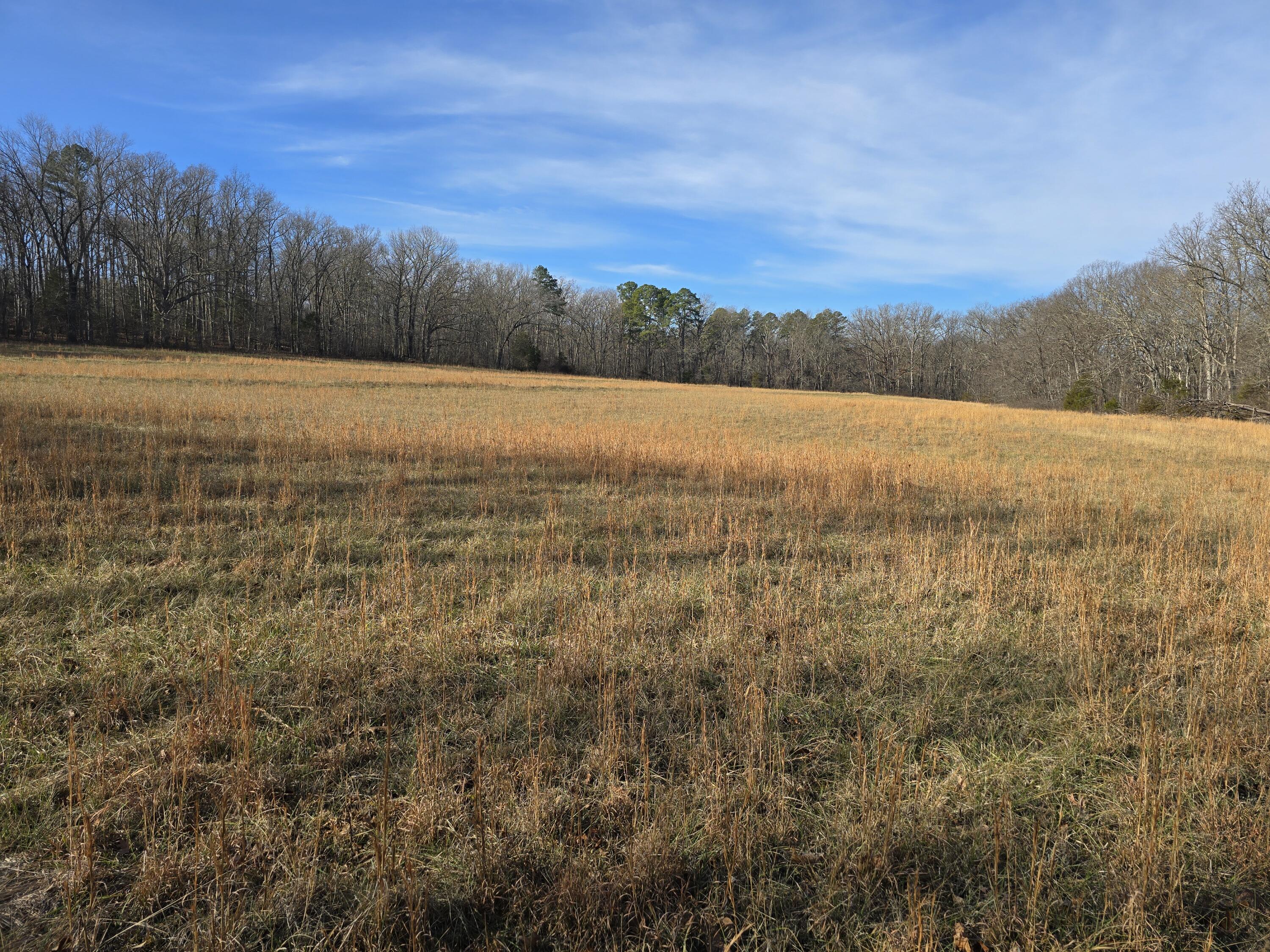 Photo 4 - Land for sale – 000  Airport Road   Houston, MO