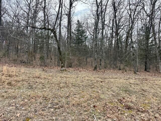 Photo 4 - Land for sale – Lot 81  Green Cypress Lane  Shell Knob, MO