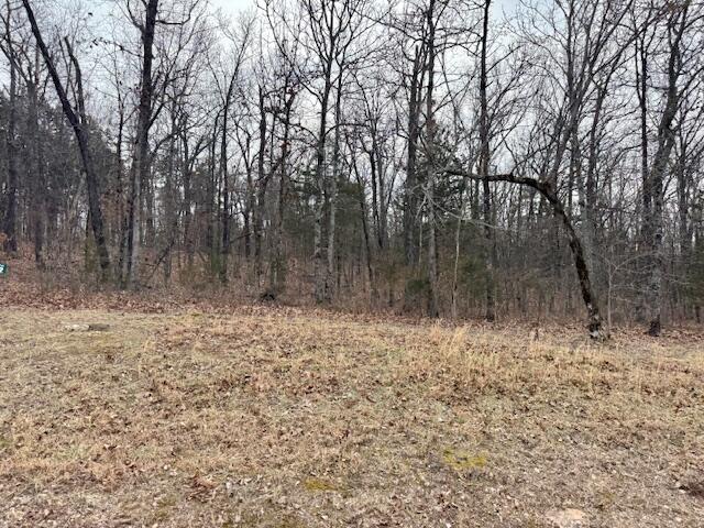 Photo 5 - Land for sale – Lot 81  Green Cypress Lane  Shell Knob, MO
