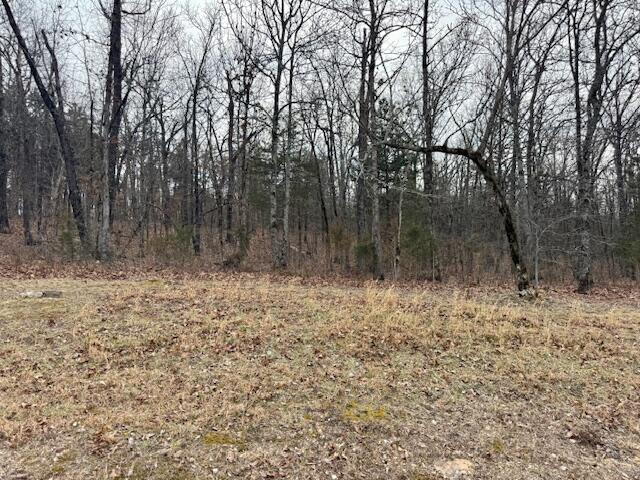 Photo 6 - Land for sale – Lot 81  Green Cypress Lane  Shell Knob, MO