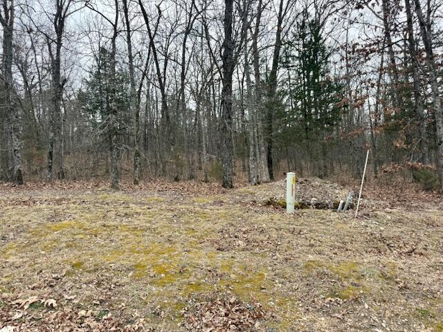Photo 3 - Land for sale – Lot 81  Green Cypress Lane  Shell Knob, MO