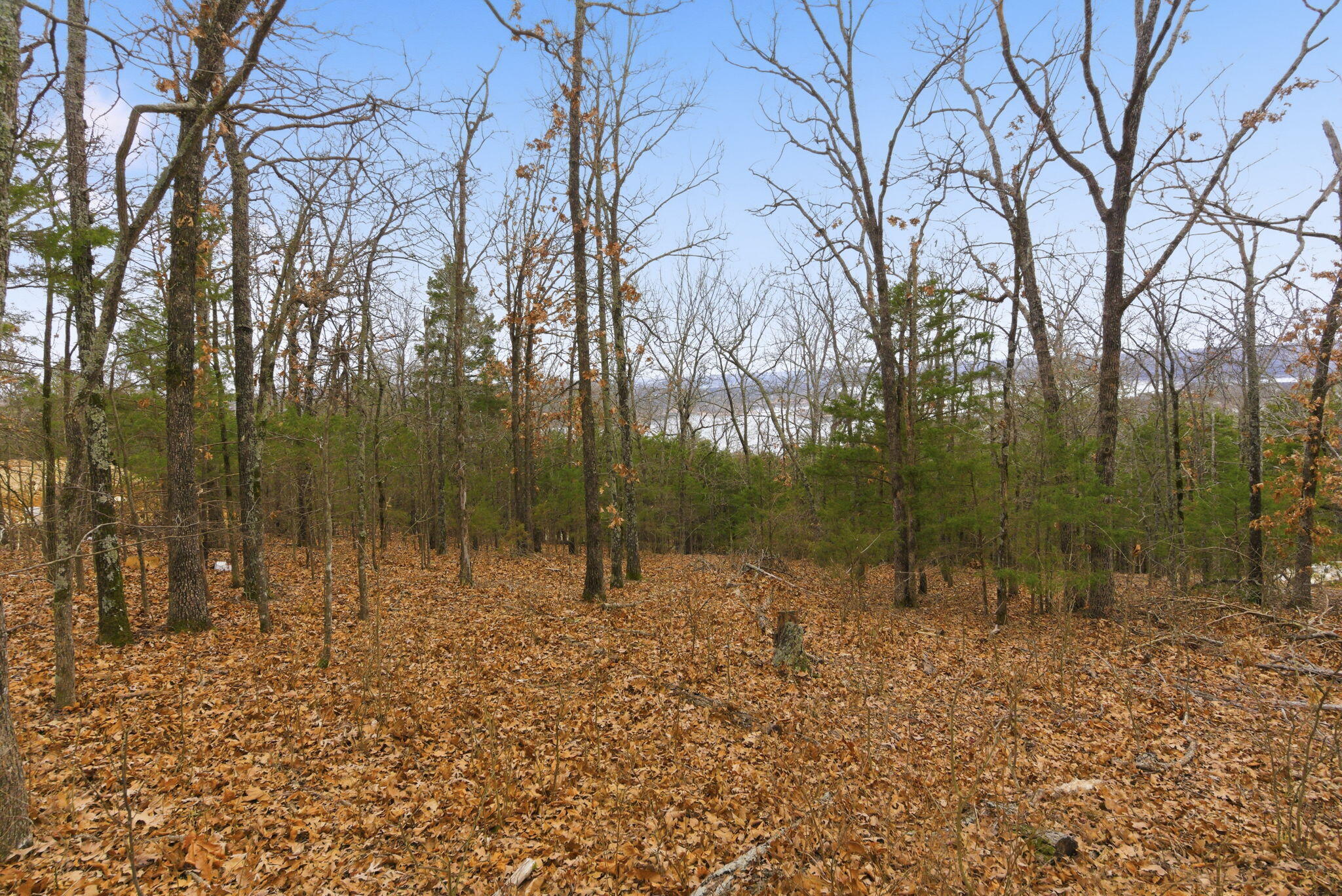 Photo 5 - Land for sale – 195  Emerald Pointe Road  Hollister, MO