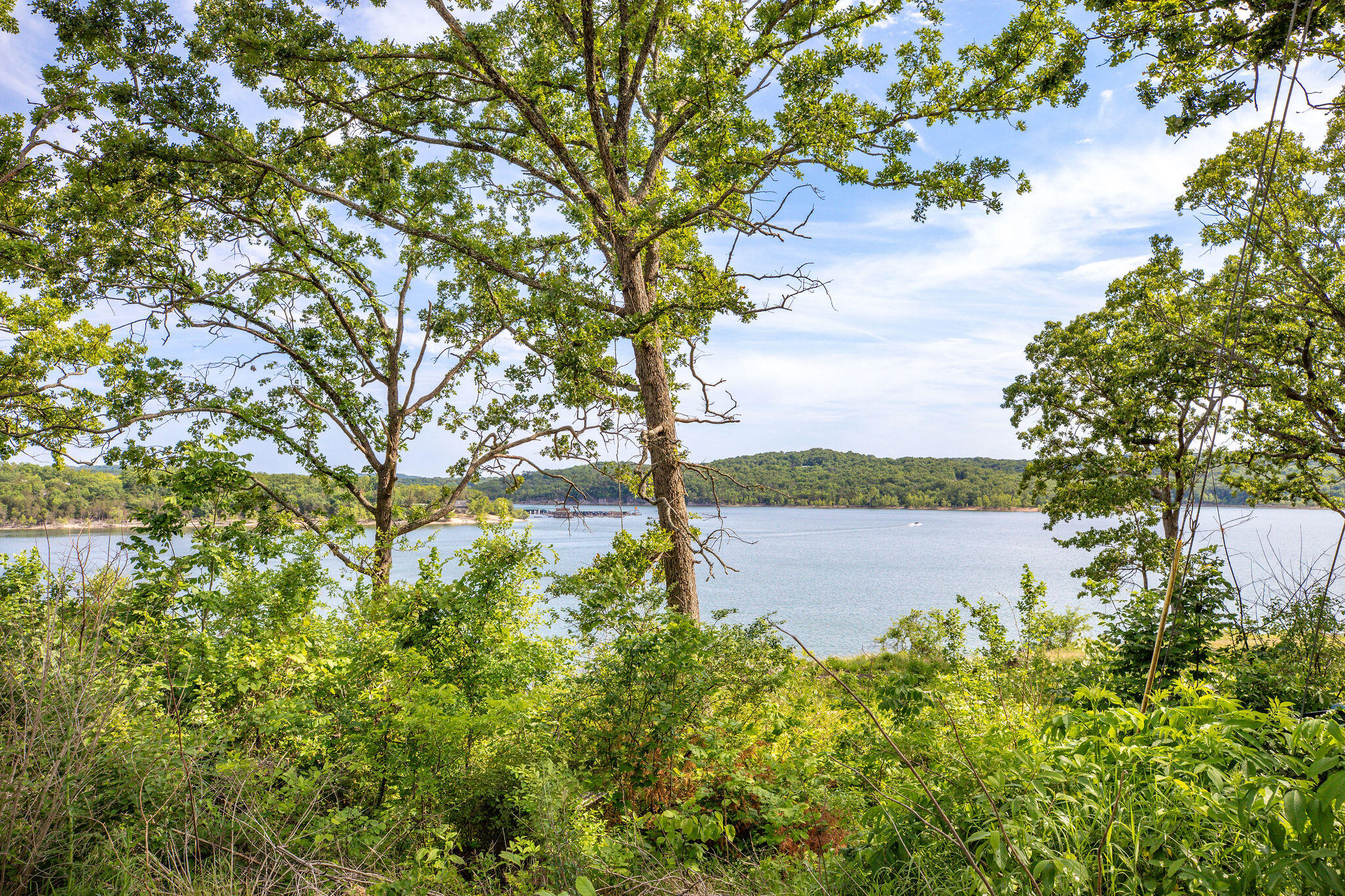 Photo 5 - Land for sale – 231  7th Avenue  Ridgedale, MO