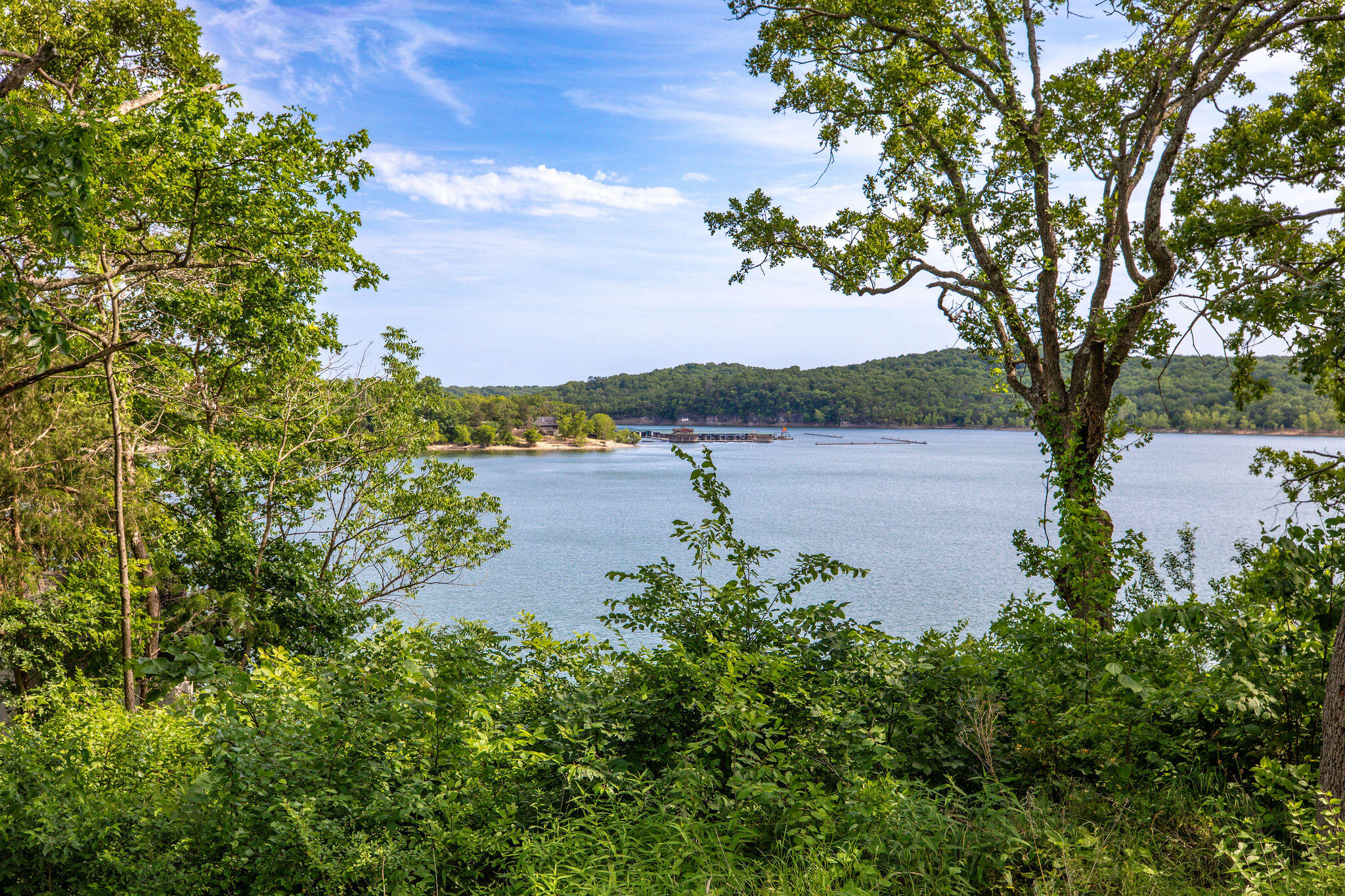 Photo 4 - Land for sale – 231  7th Avenue  Ridgedale, MO
