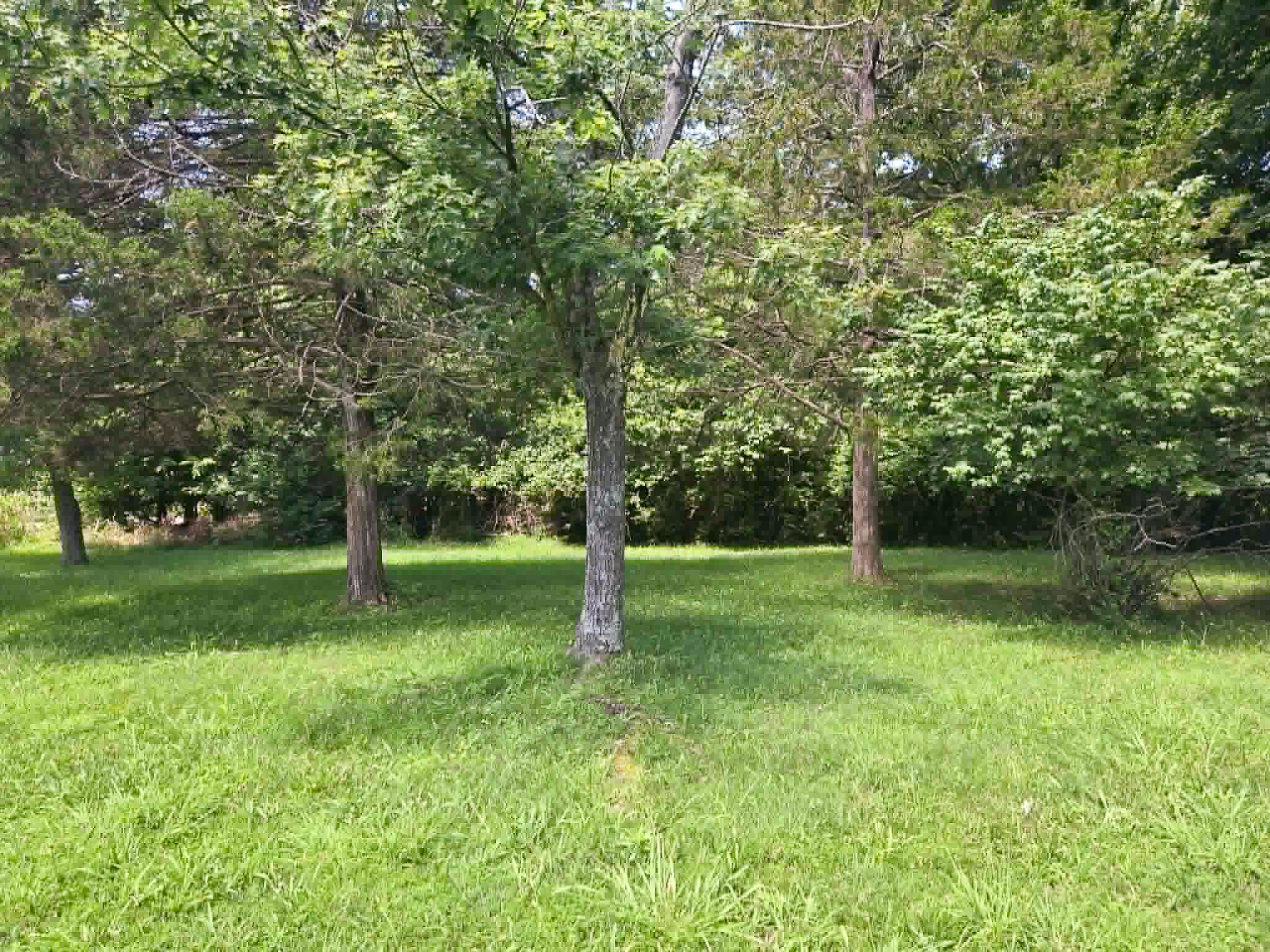 Photo 13 - Residential for sale – 1104  Highland Street   Cabool, MO