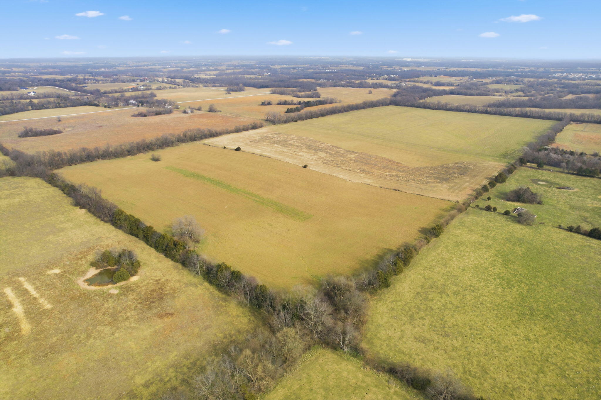 Photo 15 - Land for sale – 000 Tract3 W Farm Road 174   Republic, MO