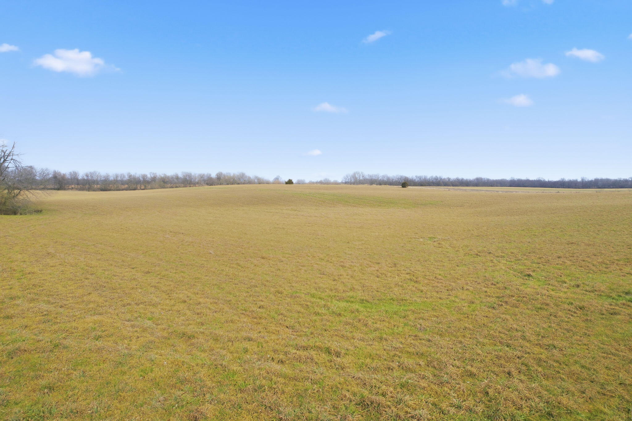 Photo 12 - Land for sale – 000 Tract4 W Farm Road 174   Republic, MO