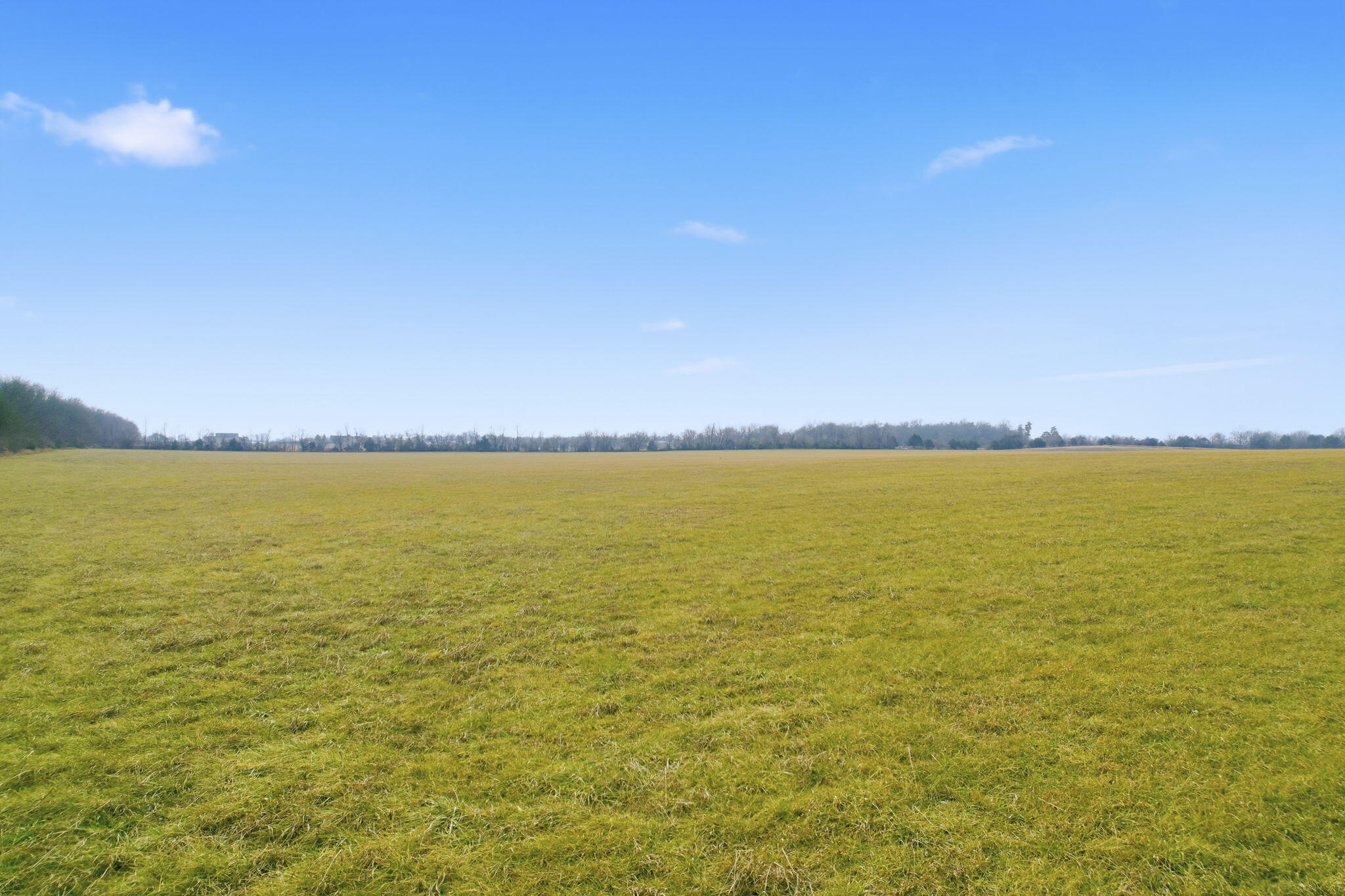 Photo 9 - Land for sale – 000 Tract4 W Farm Road 174   Republic, MO