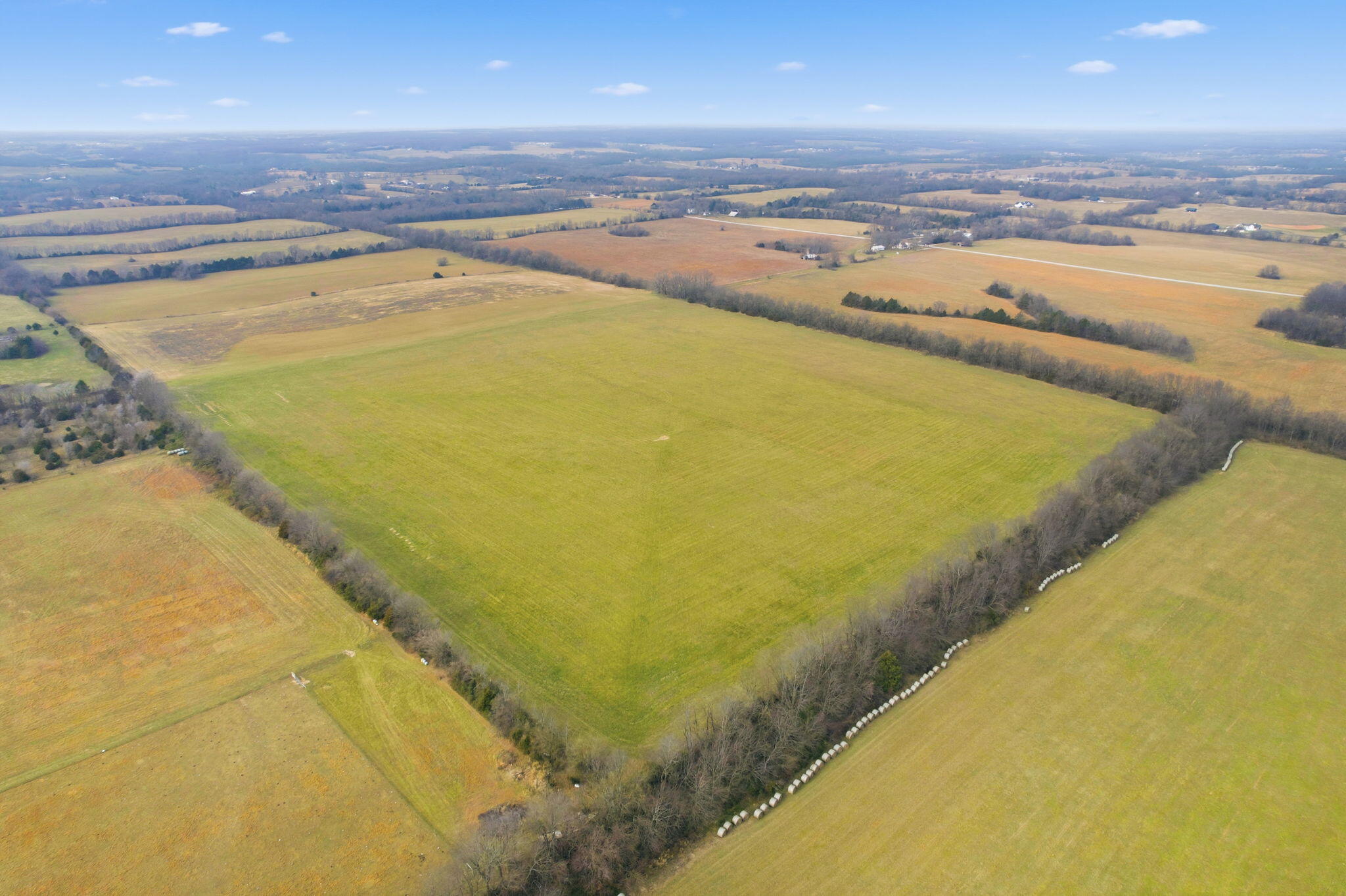 Photo 3 - Land for sale – 000 Tract4 W Farm Road 174   Republic, MO