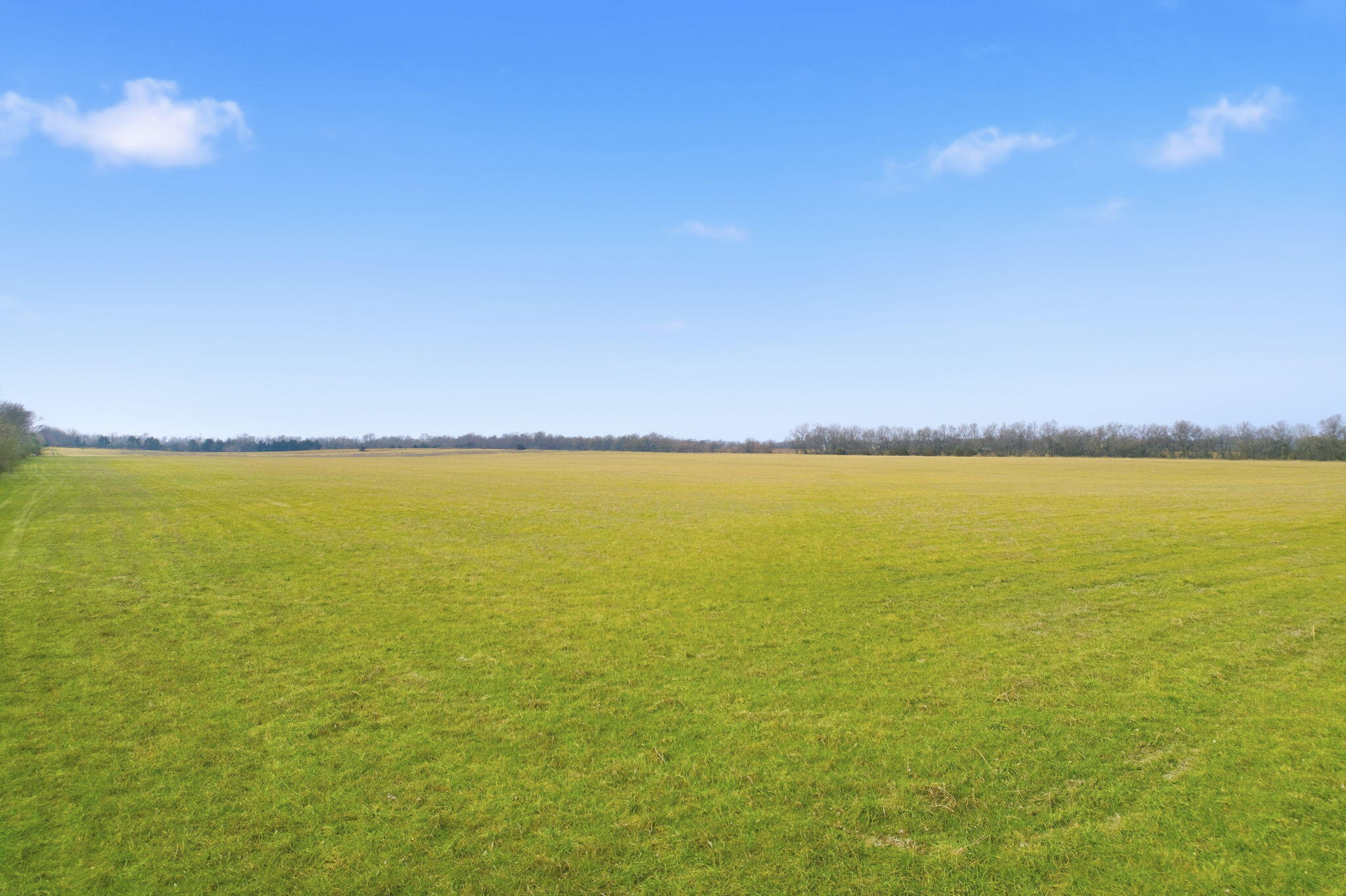 Photo 9 - Land for sale – 000 Tract5 W Farm Road 174   Republic, MO