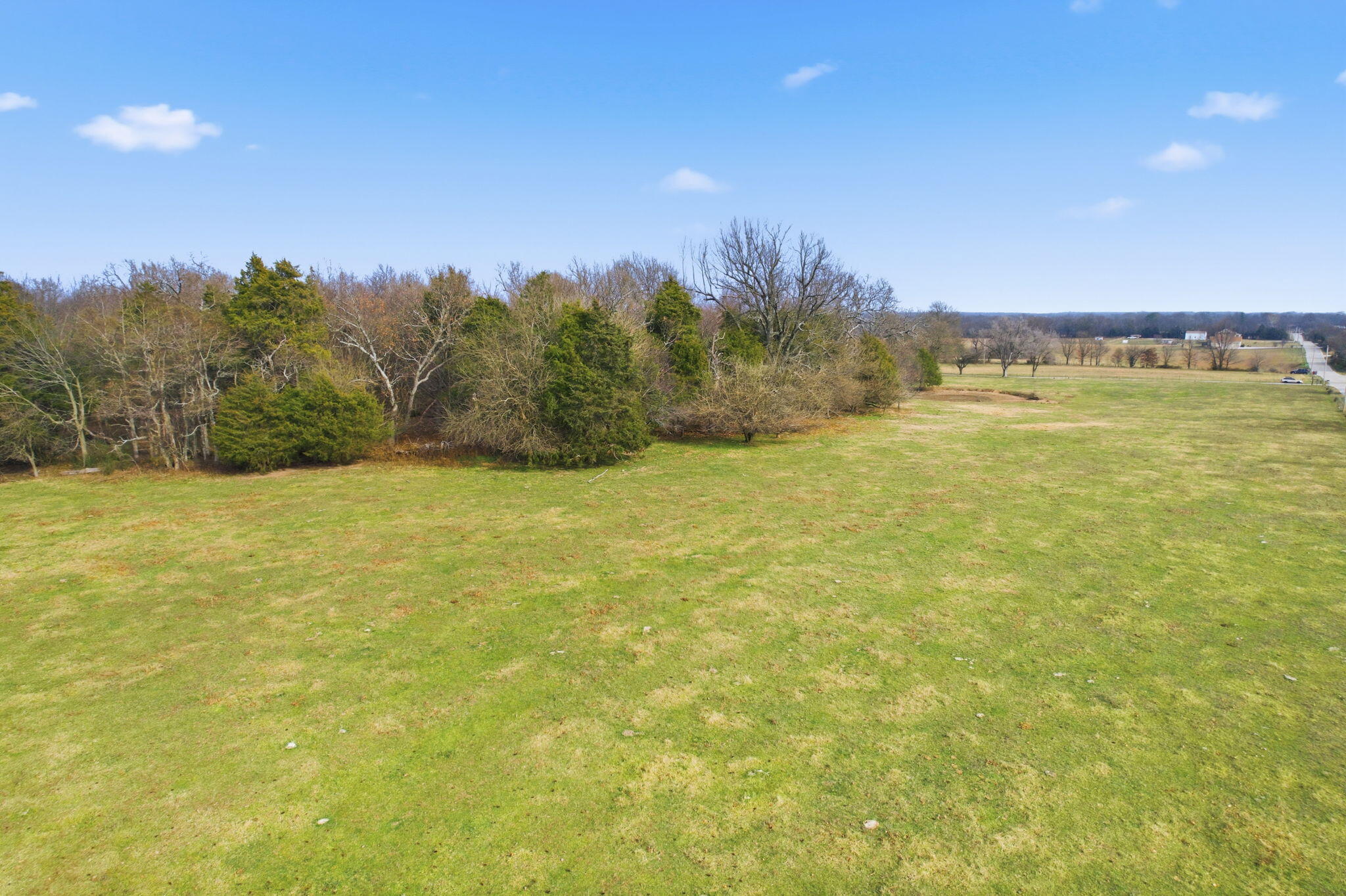 Photo 7 - Land for sale – 000 Tract5 W Farm Road 174   Republic, MO