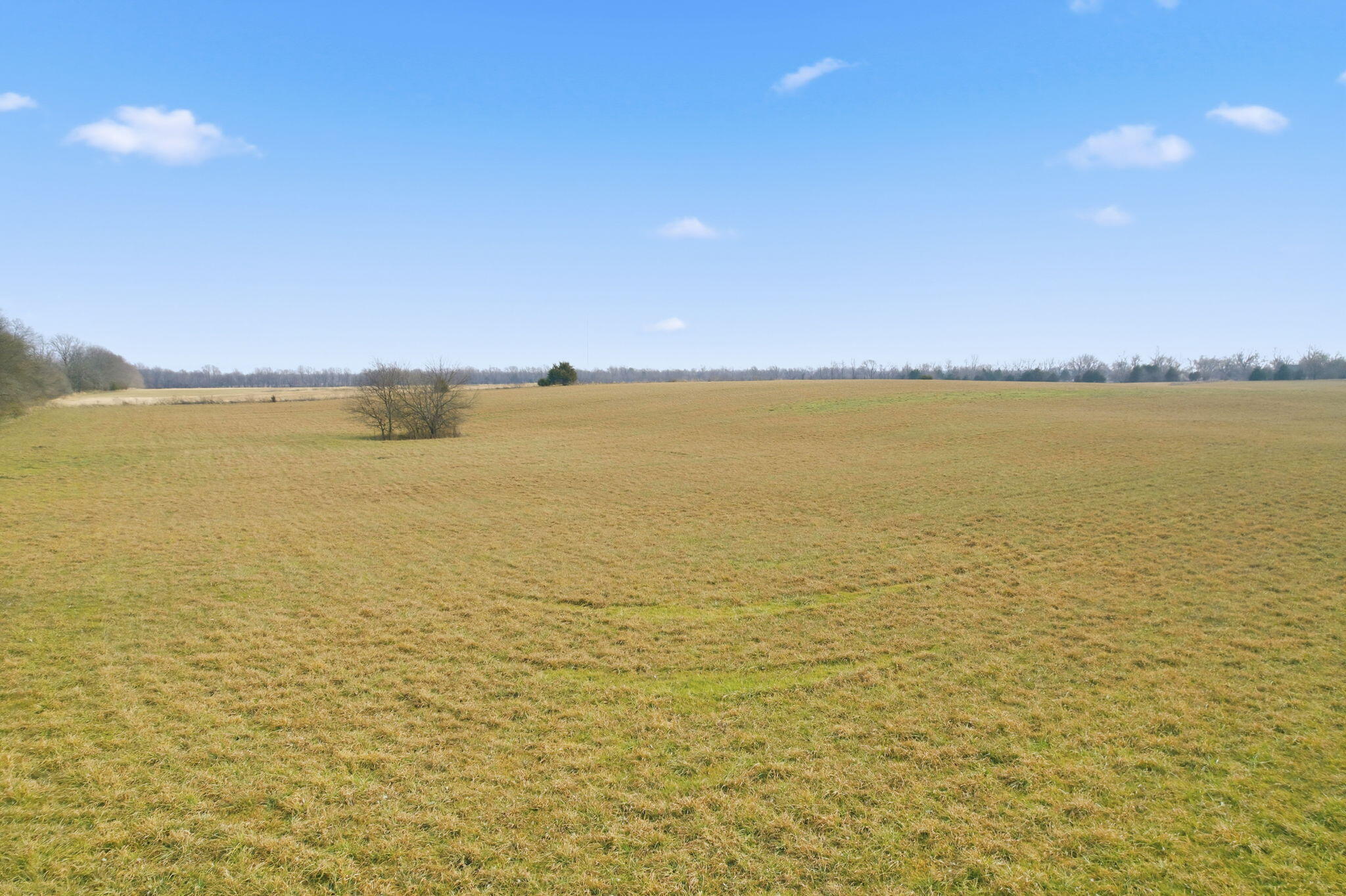 Photo 7 - Land for sale – 000 Tract6 W Farm Road 174   Republic, MO