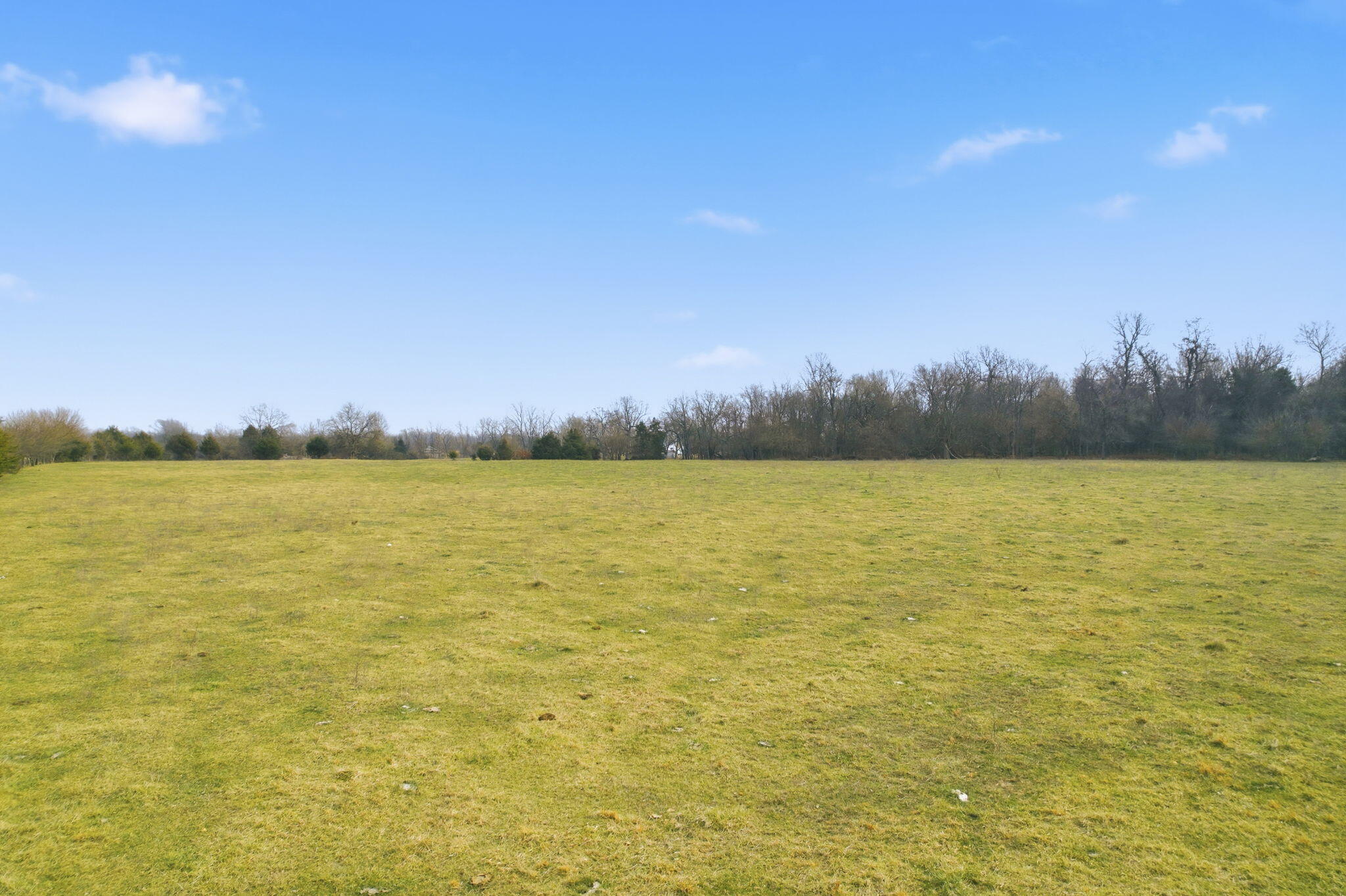 Photo 5 - Land for sale – 000 Tract6 W Farm Road 174   Republic, MO