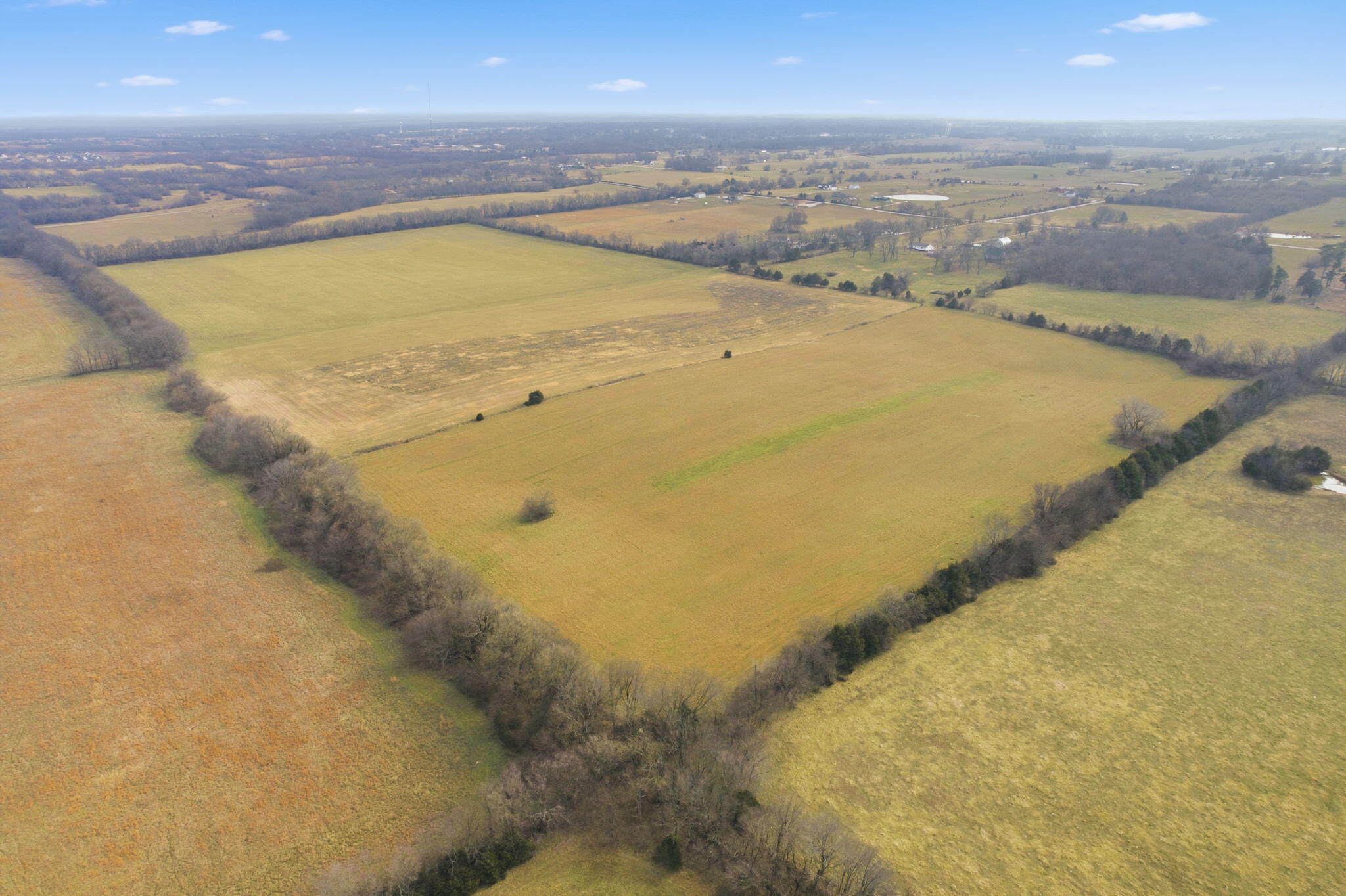 Photo 10 - Land for sale – 000 Tract6 W Farm Road 174   Republic, MO