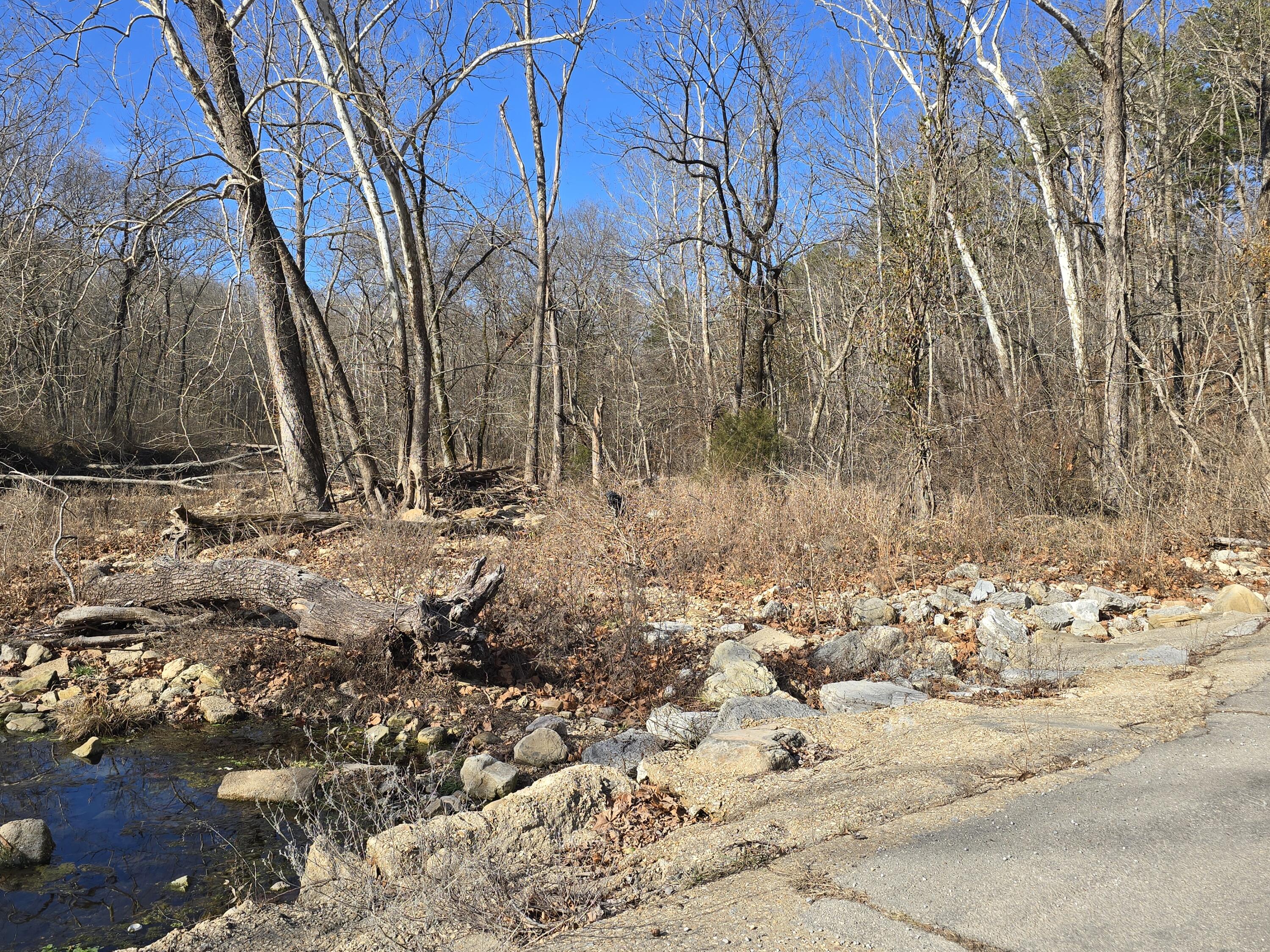 Photo 8 - Land for sale – 000  Mineral Dr. Lot 1   Houston, MO