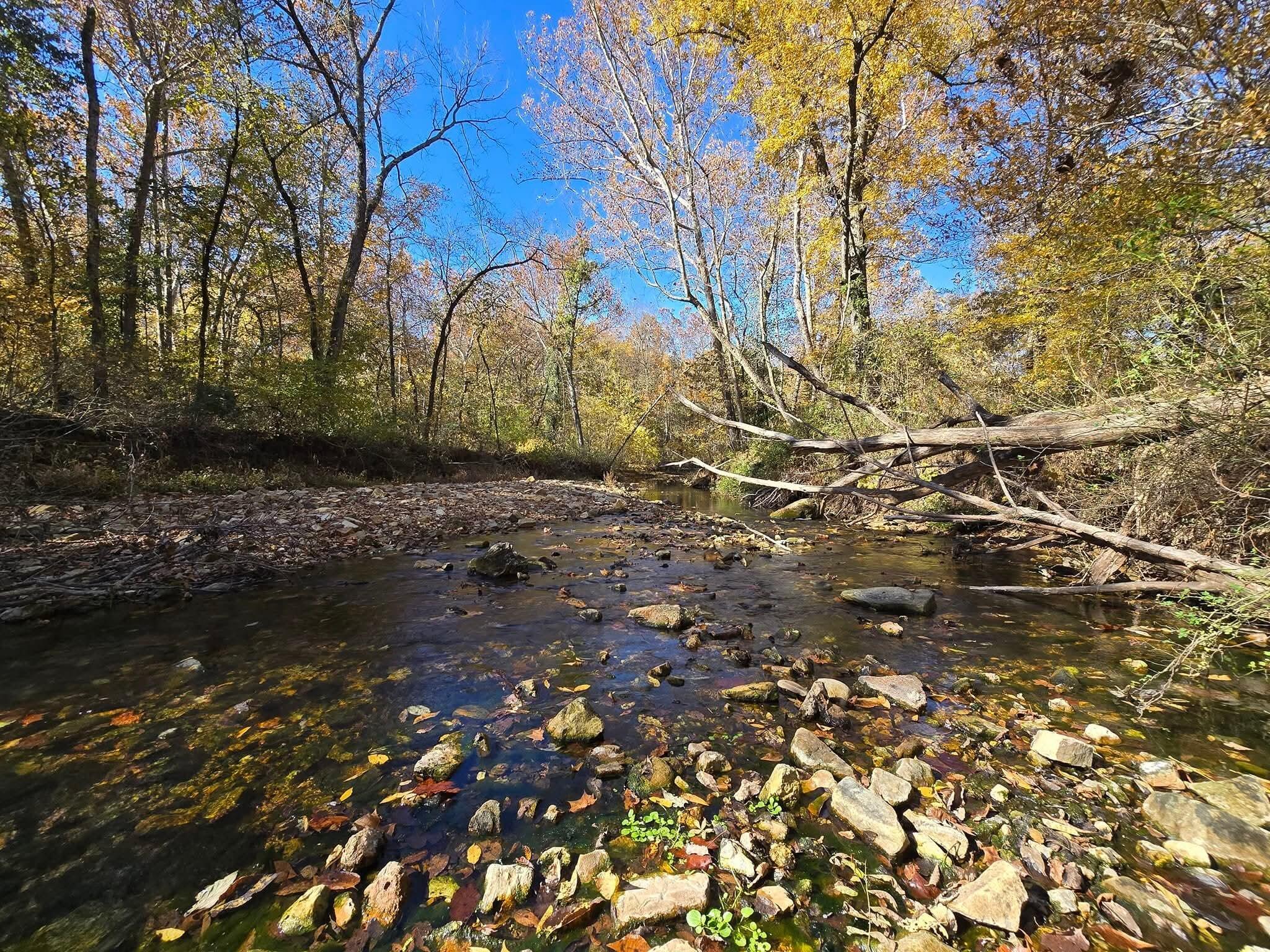 Photo 2 - Land for sale – 000  Mineral Dr. Lot 1   Houston, MO