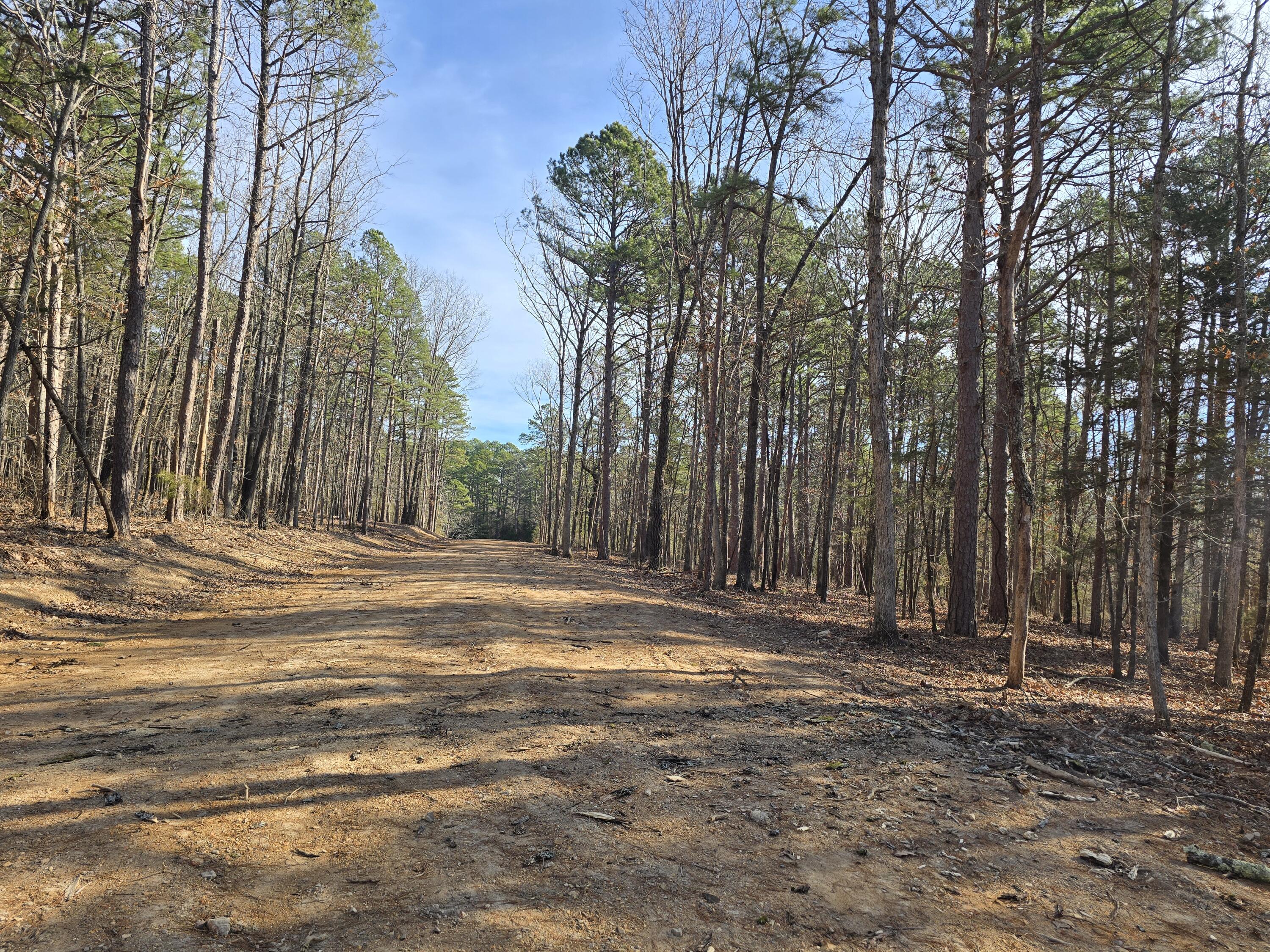 Photo 7 - Land for sale – 000  Mineral Dr. Lot 1   Houston, MO
