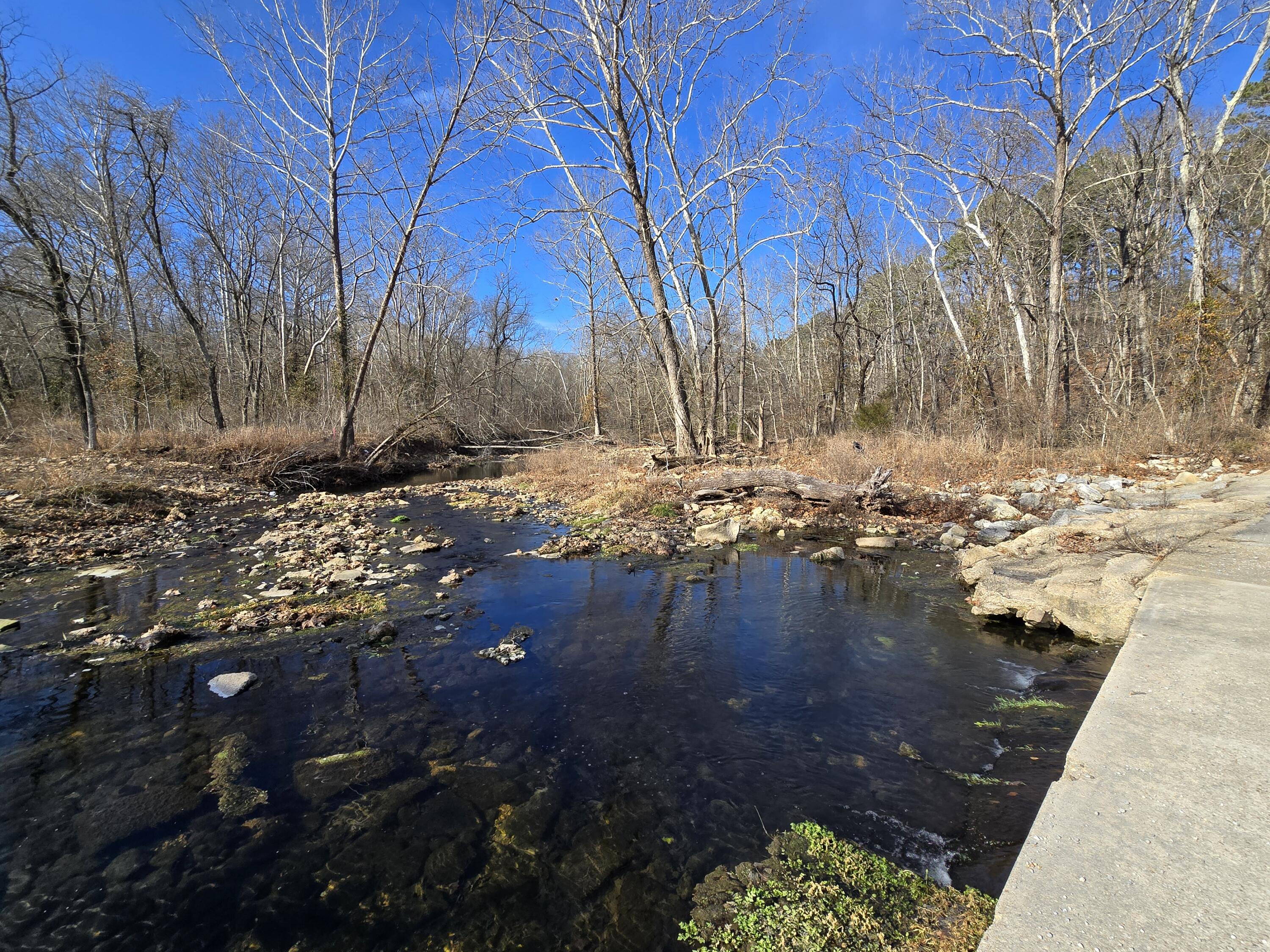 Photo 9 - Land for sale – 000  Mineral Dr. Lot 1   Houston, MO