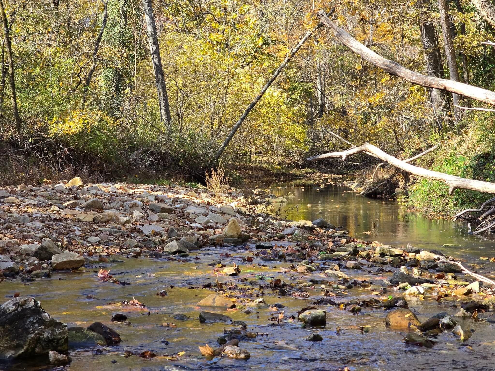 Photo 6 - Land for sale – 000  Mineral Dr. Lot 1   Houston, MO