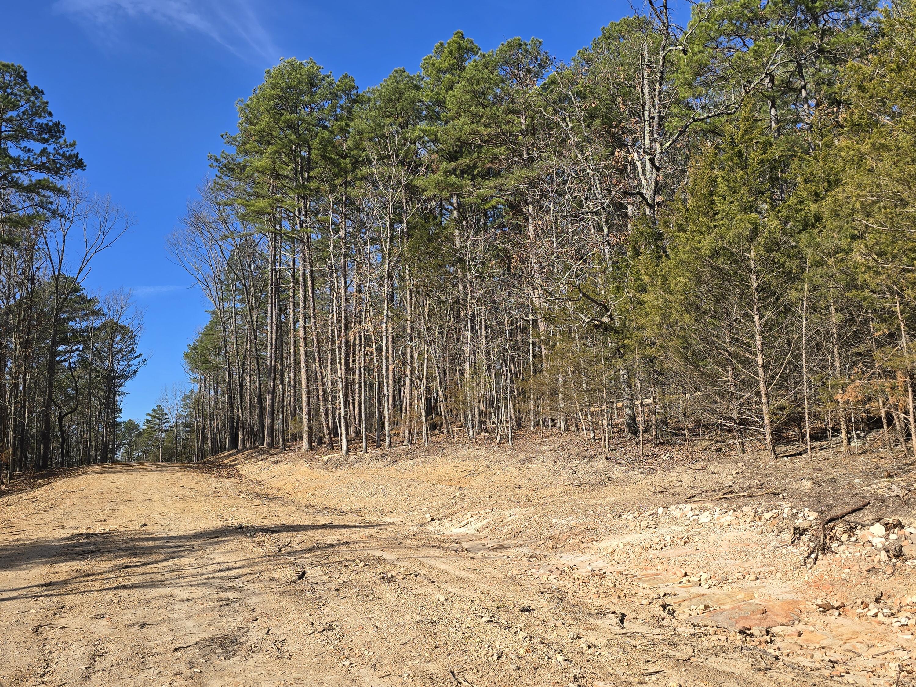 Photo 2 - Land for sale – 000  Mineral Dr. Lot 2   Houston, MO