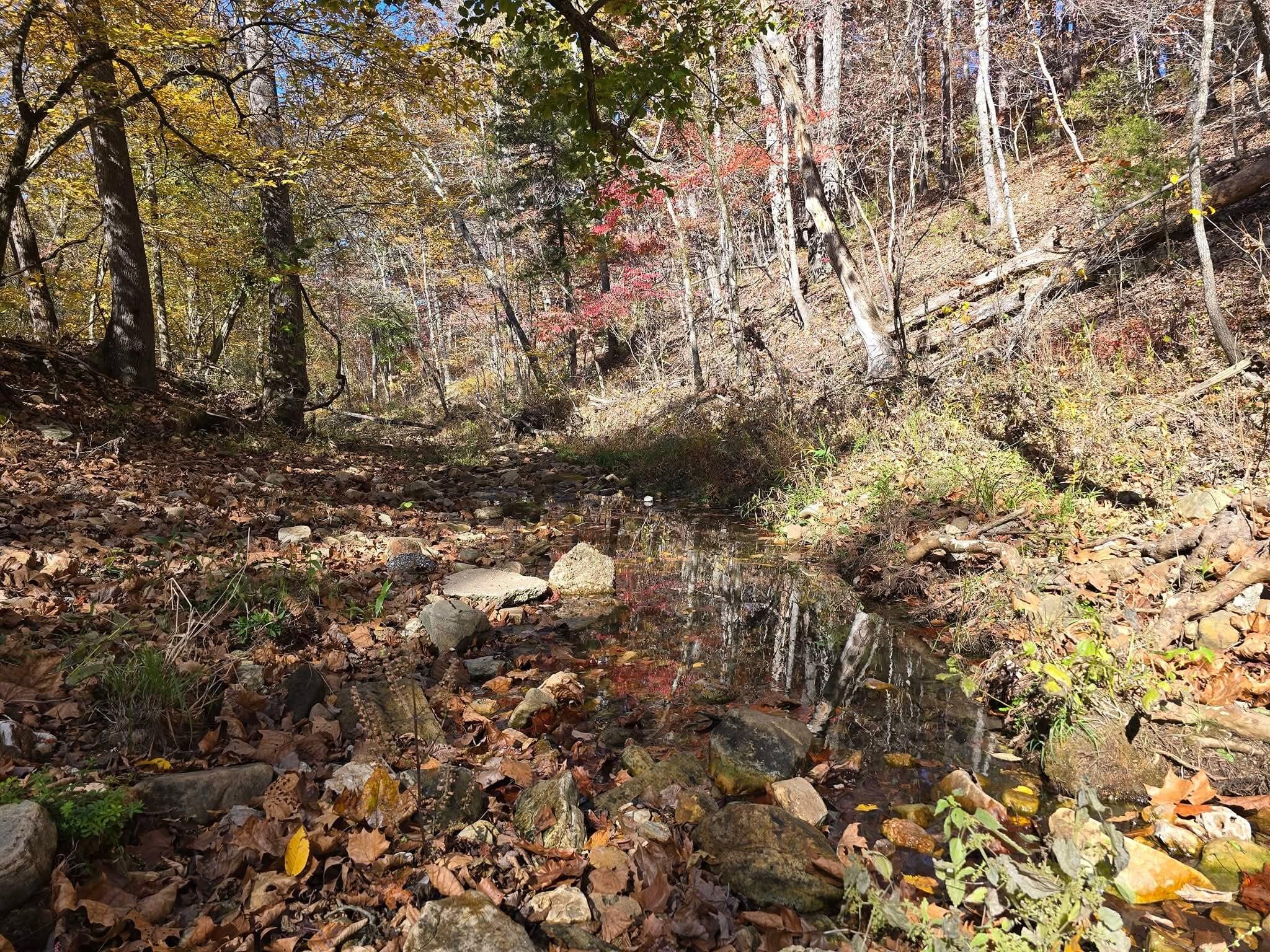 Land for sale – 000 Mineral Dr. Lot 2 Houston, MO